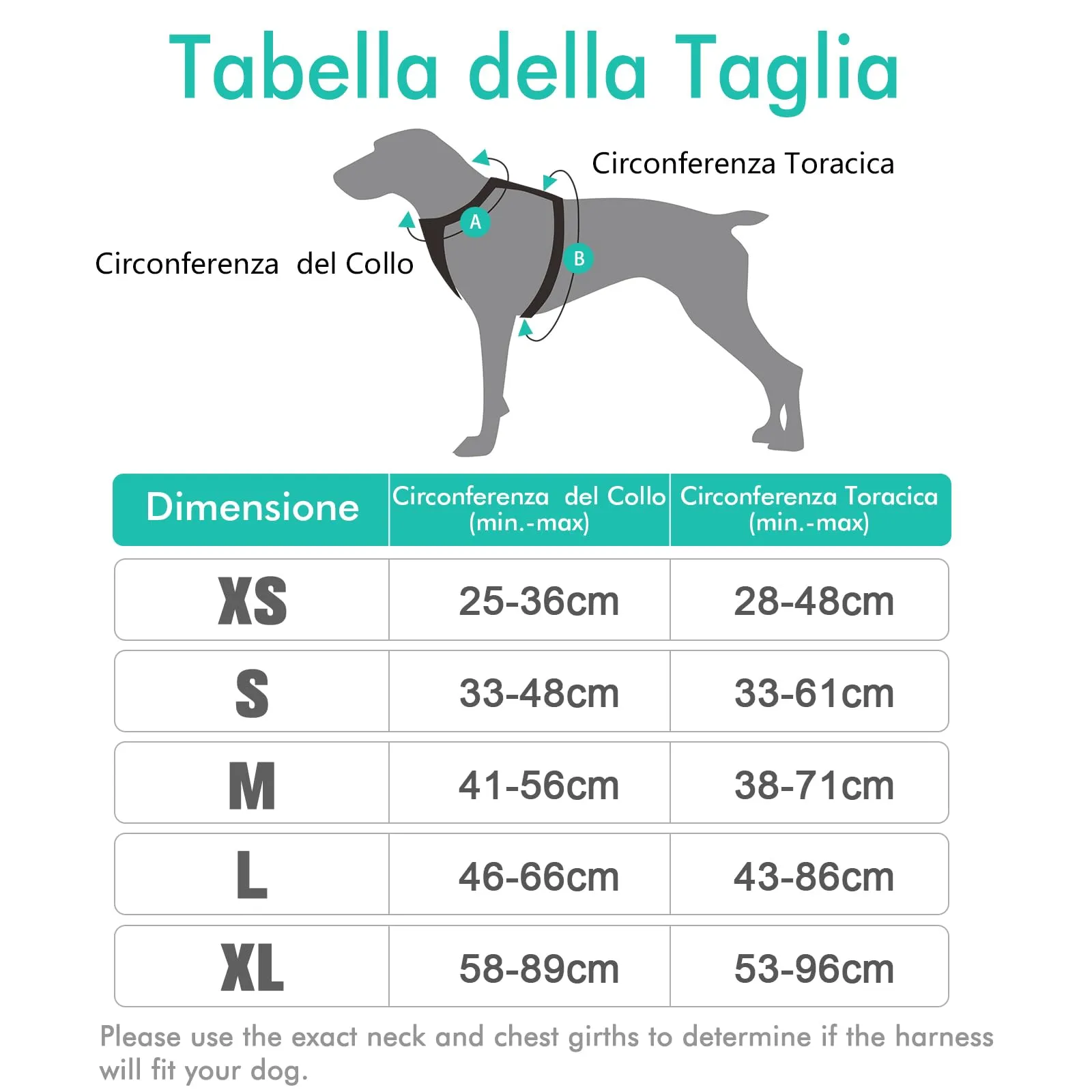 rabbitgoo Pettorina Cane ad H Regolabile Anti Tiro Riflettente e Traspirante, Menta Verde, S - immagine 2