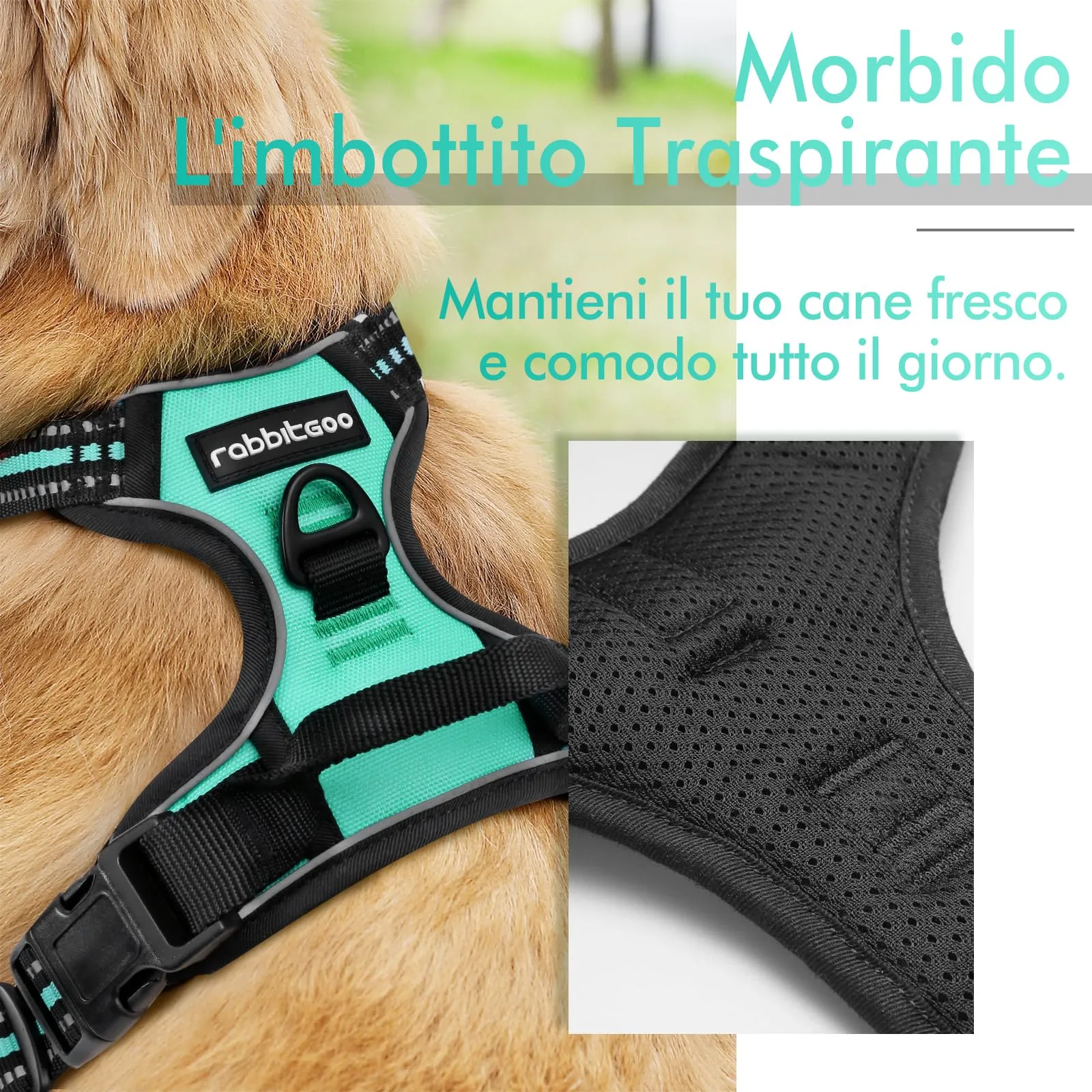 rabbitgoo Pettorina Cane ad H Regolabile Anti Tiro Riflettente e Traspirante, Menta Verde, S - immagine 3