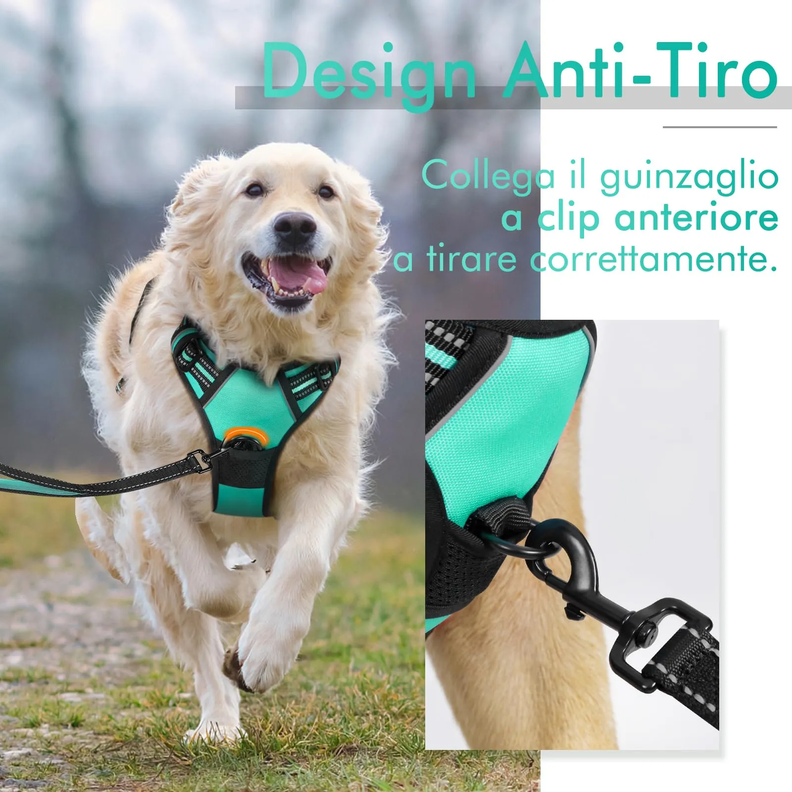 rabbitgoo Pettorina Cane ad H Regolabile Anti Tiro Riflettente e Traspirante, Menta Verde, S - immagine 5