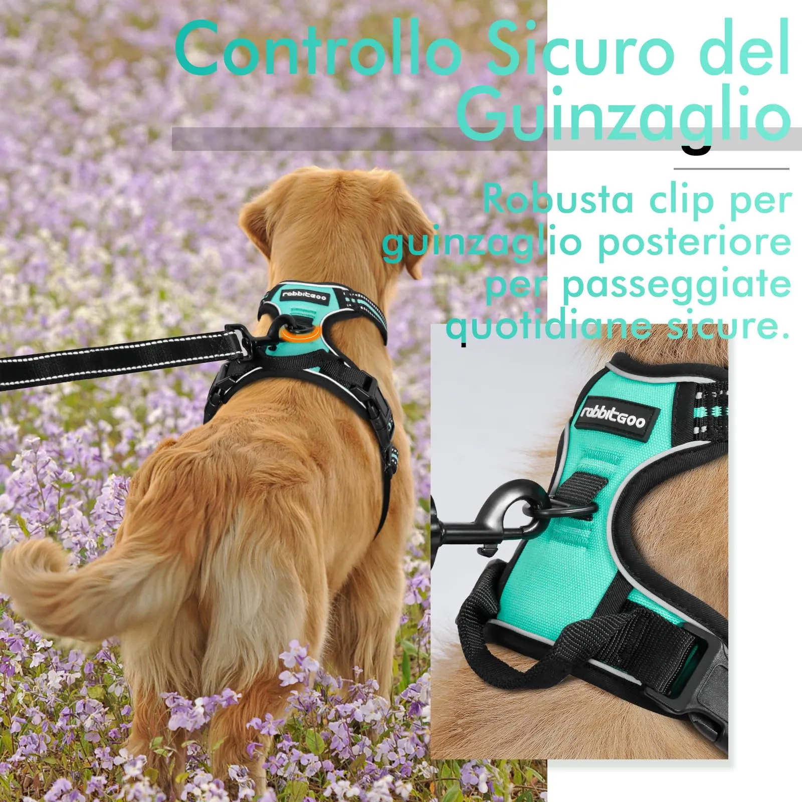 rabbitgoo Pettorina Cane ad H Regolabile Anti Tiro Riflettente e Traspirante, Menta Verde, S - immagine 6