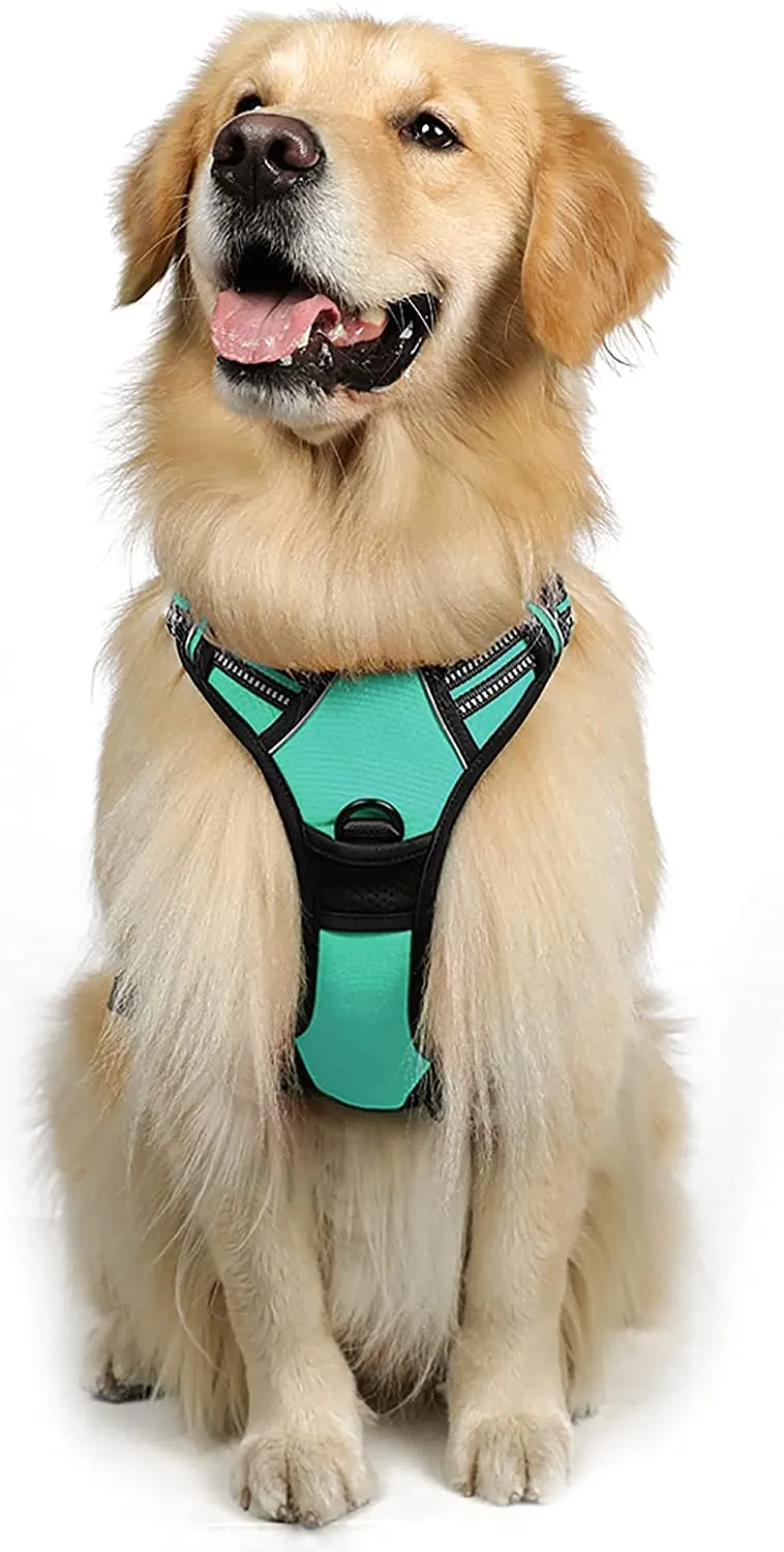 rabbitgoo Pettorina Cane ad H Regolabile Anti Tiro Riflettente, Menta Verde, XL - immagine 1