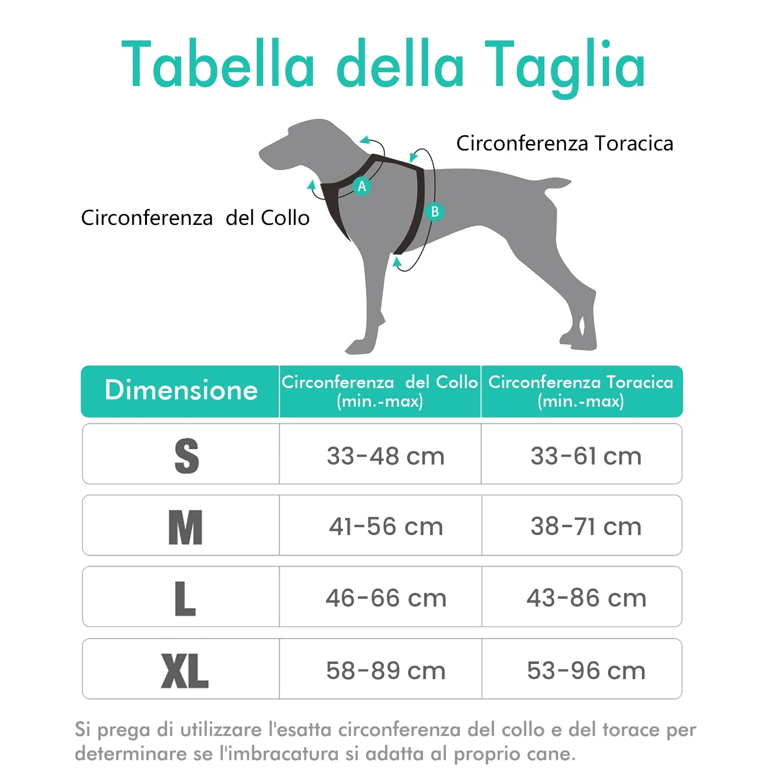 rabbitgoo Pettorina Cane ad H Regolabile Anti Tiro Riflettente, Menta Verde, XL - immagine 9
