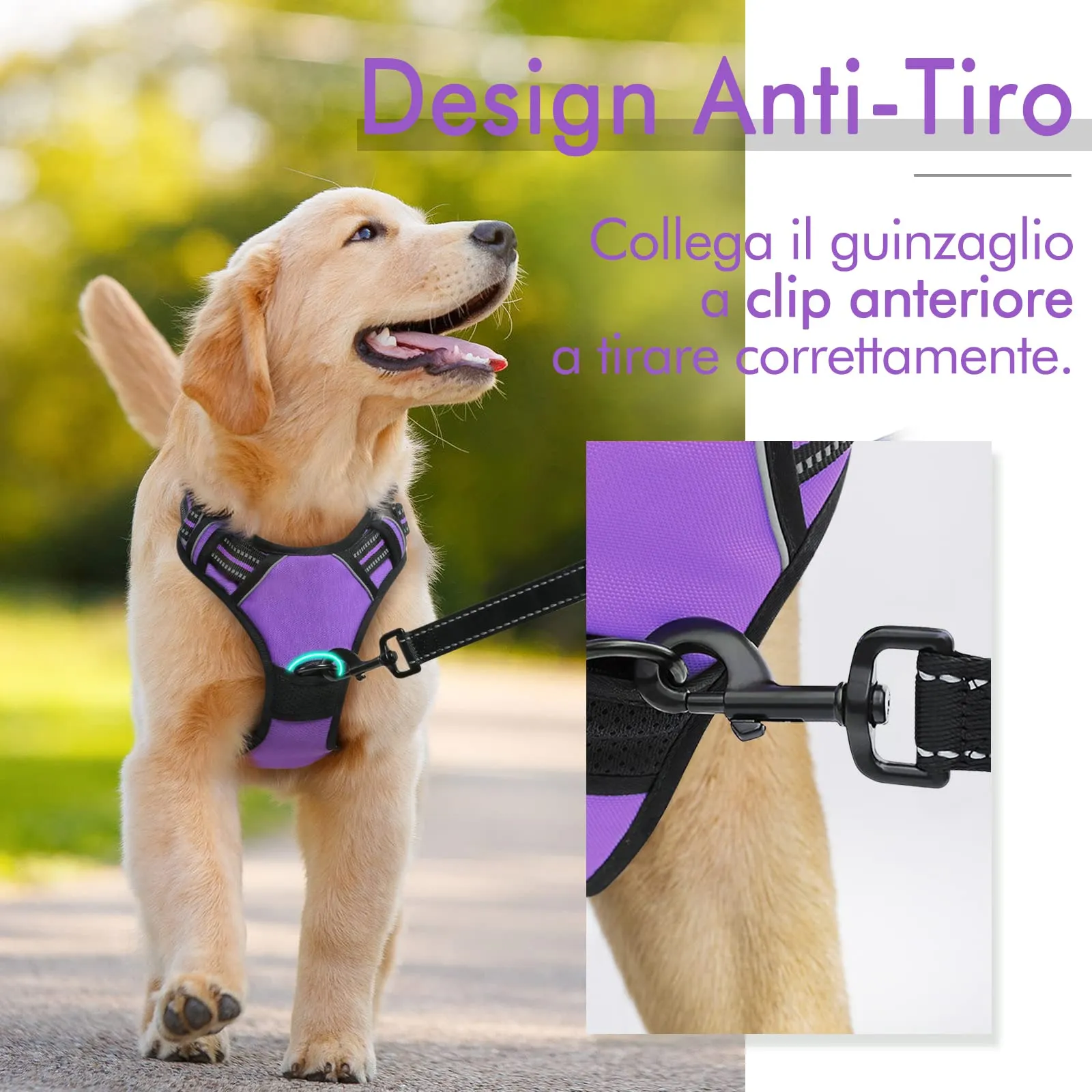 rabbitgoo Pettorina Cane ad H Regolabile Anti Tiro Riflettente, Viola, XL - immagine 3