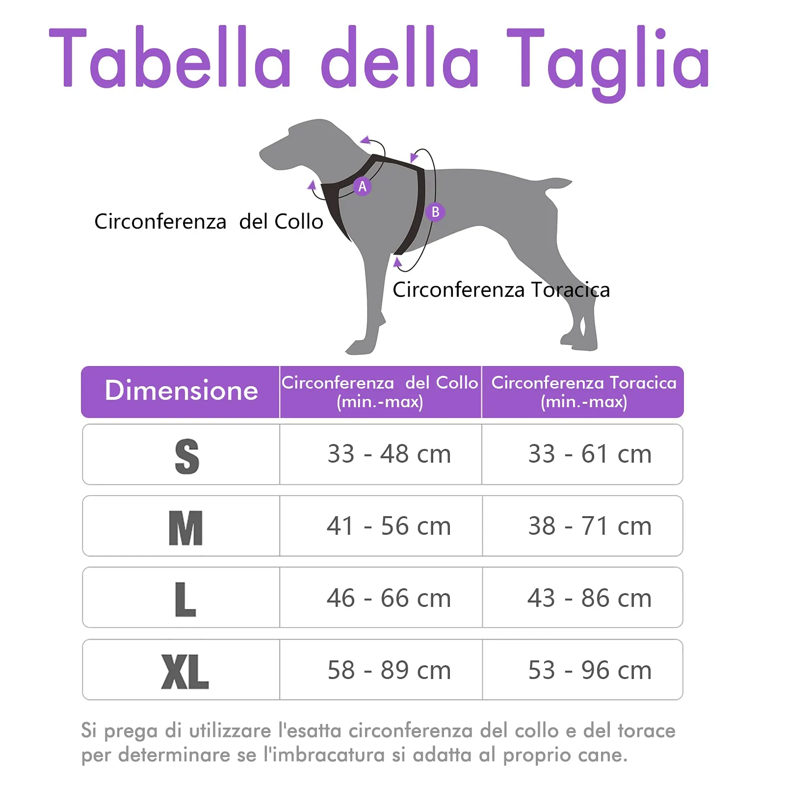 rabbitgoo Pettorina Cane ad H Regolabile Anti Tiro Riflettente, Viola, XL - immagine 9