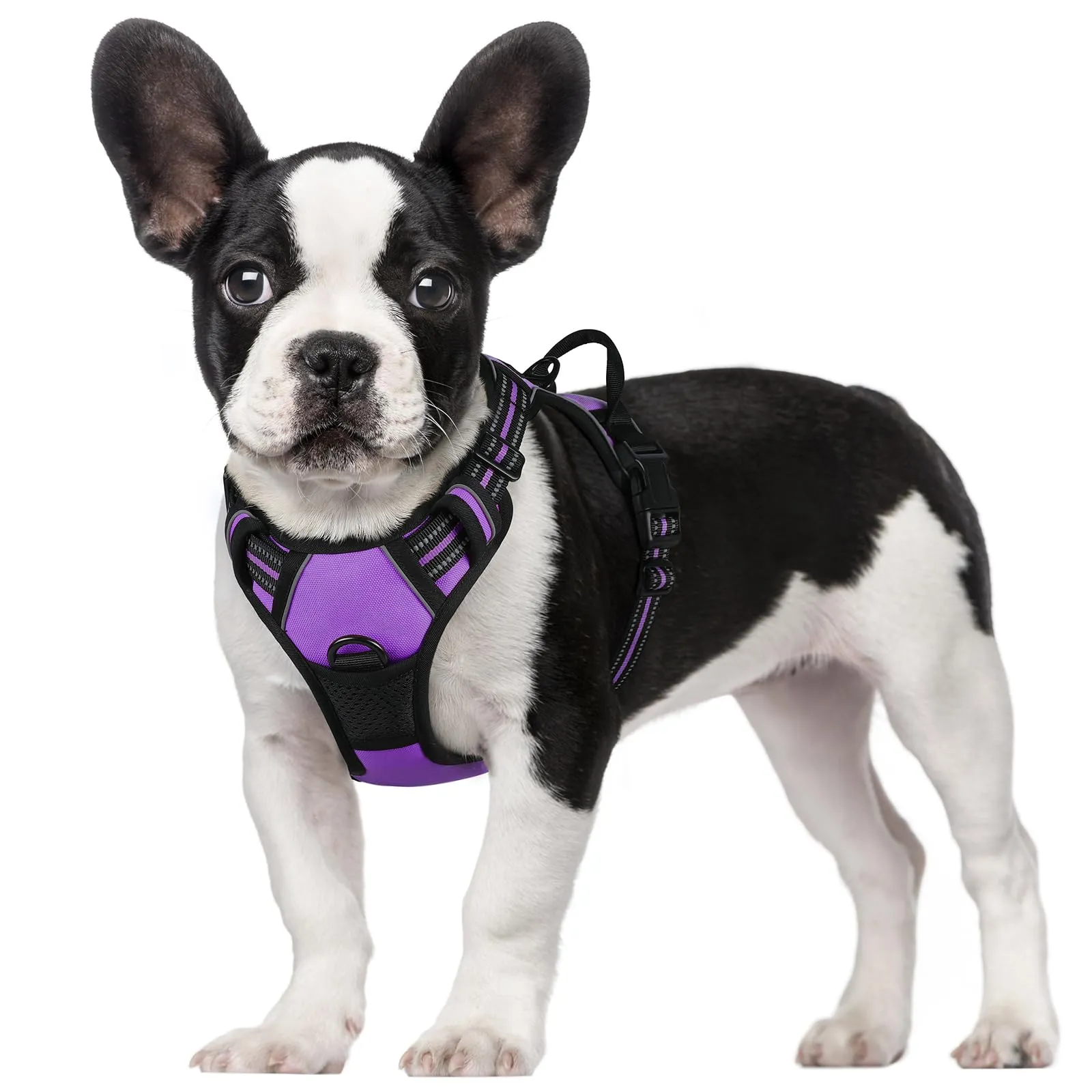 rabbitgoo Pettorina Cane ad H Regolabile, Anti Tiro e Riflettente, Viola, S - immagine 1