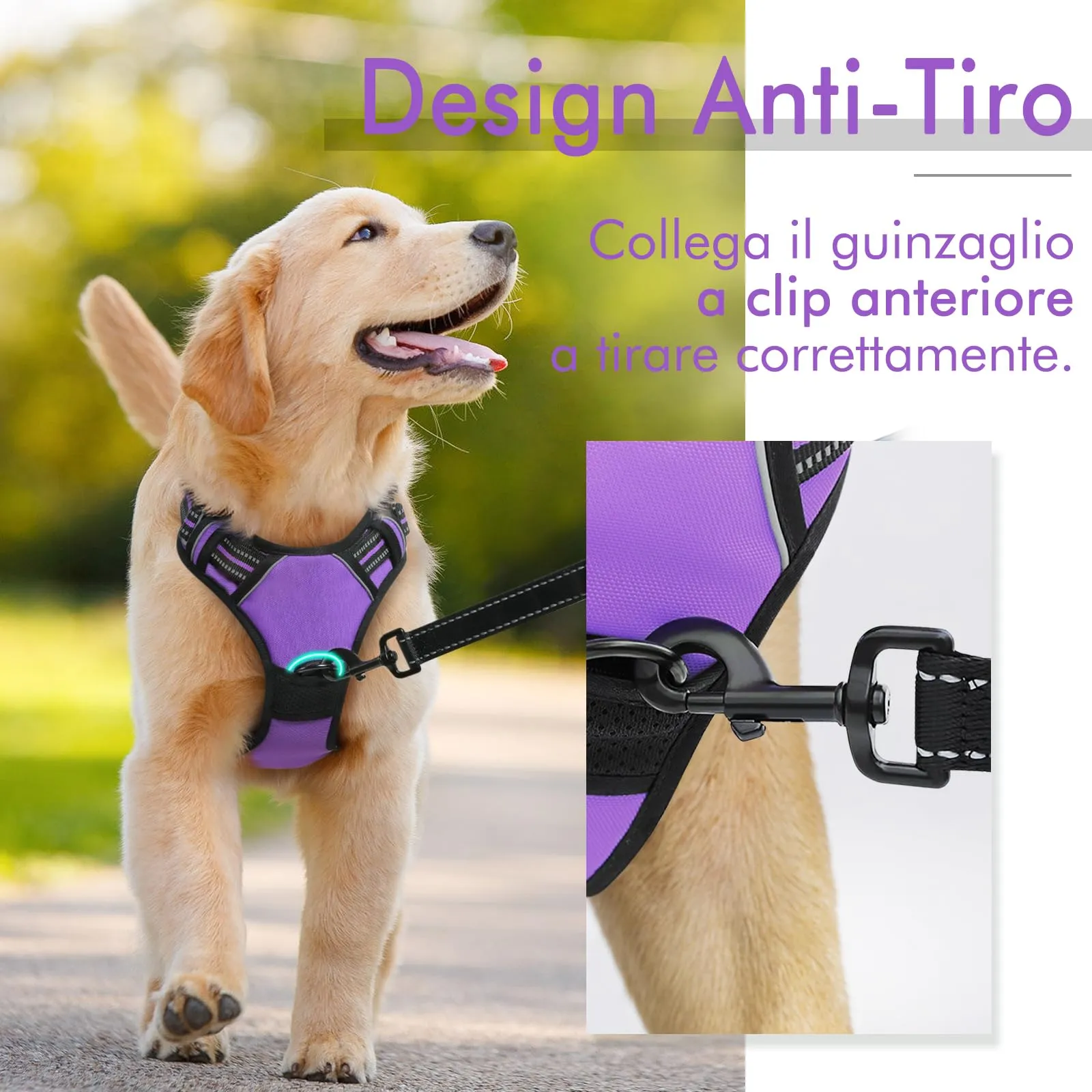 rabbitgoo Pettorina Cane ad H Regolabile, Anti Tiro e Riflettente, Viola, S - immagine 5