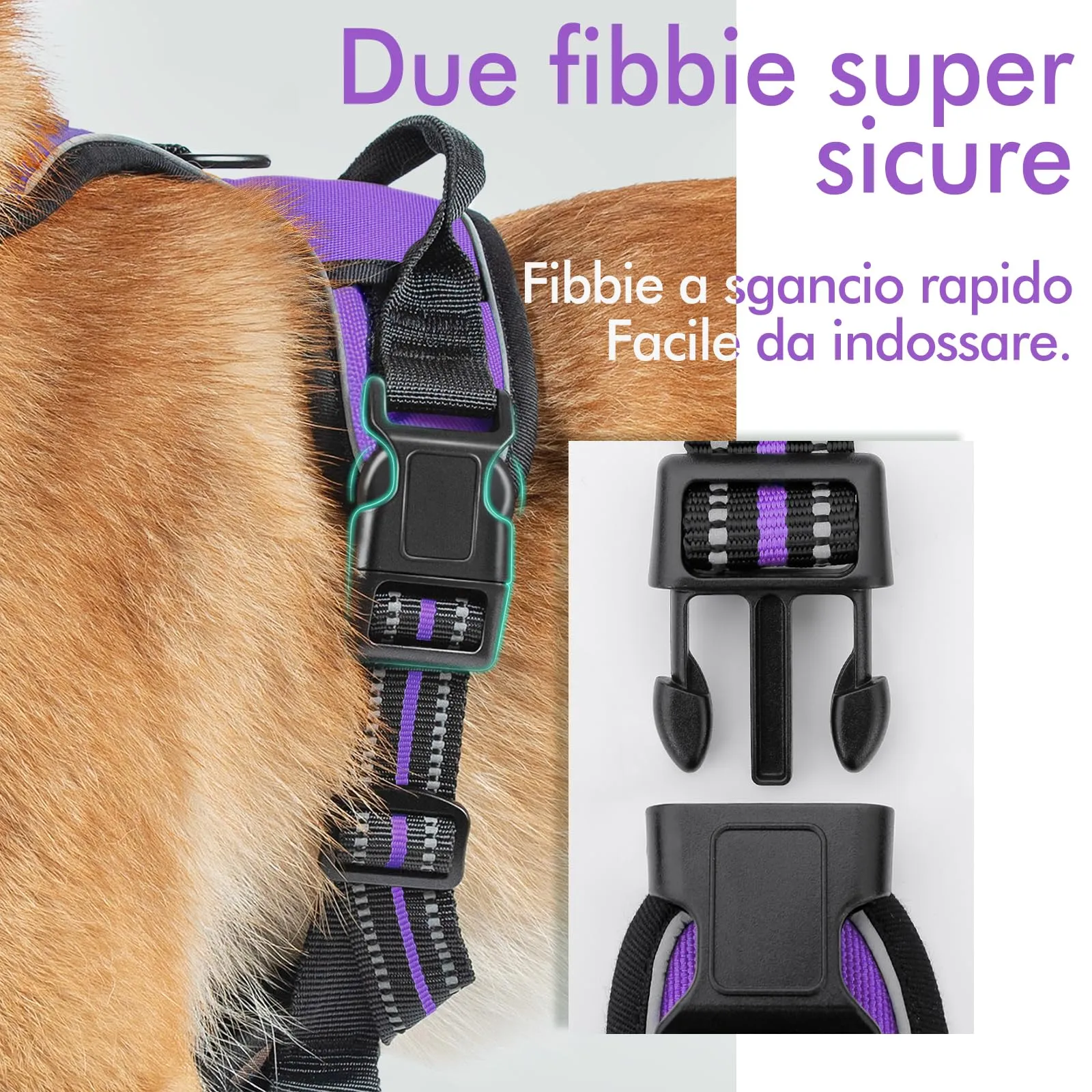 rabbitgoo Pettorina Cane ad H Regolabile, Anti Tiro e Riflettente, Viola, S - immagine 7