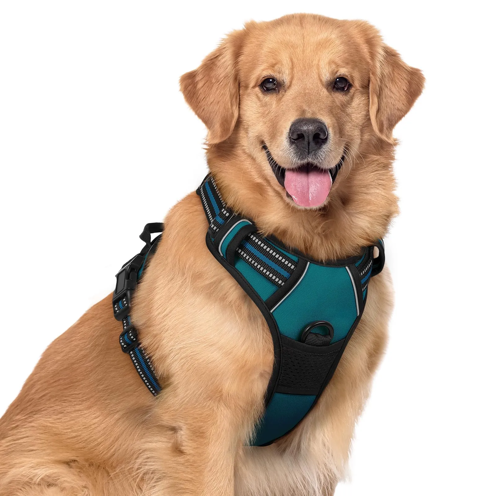 rabbitgoo Pettorina Cane ad H Regolabile Anti Tiro Riflettente, Verde Scuro, XL - immagine 1