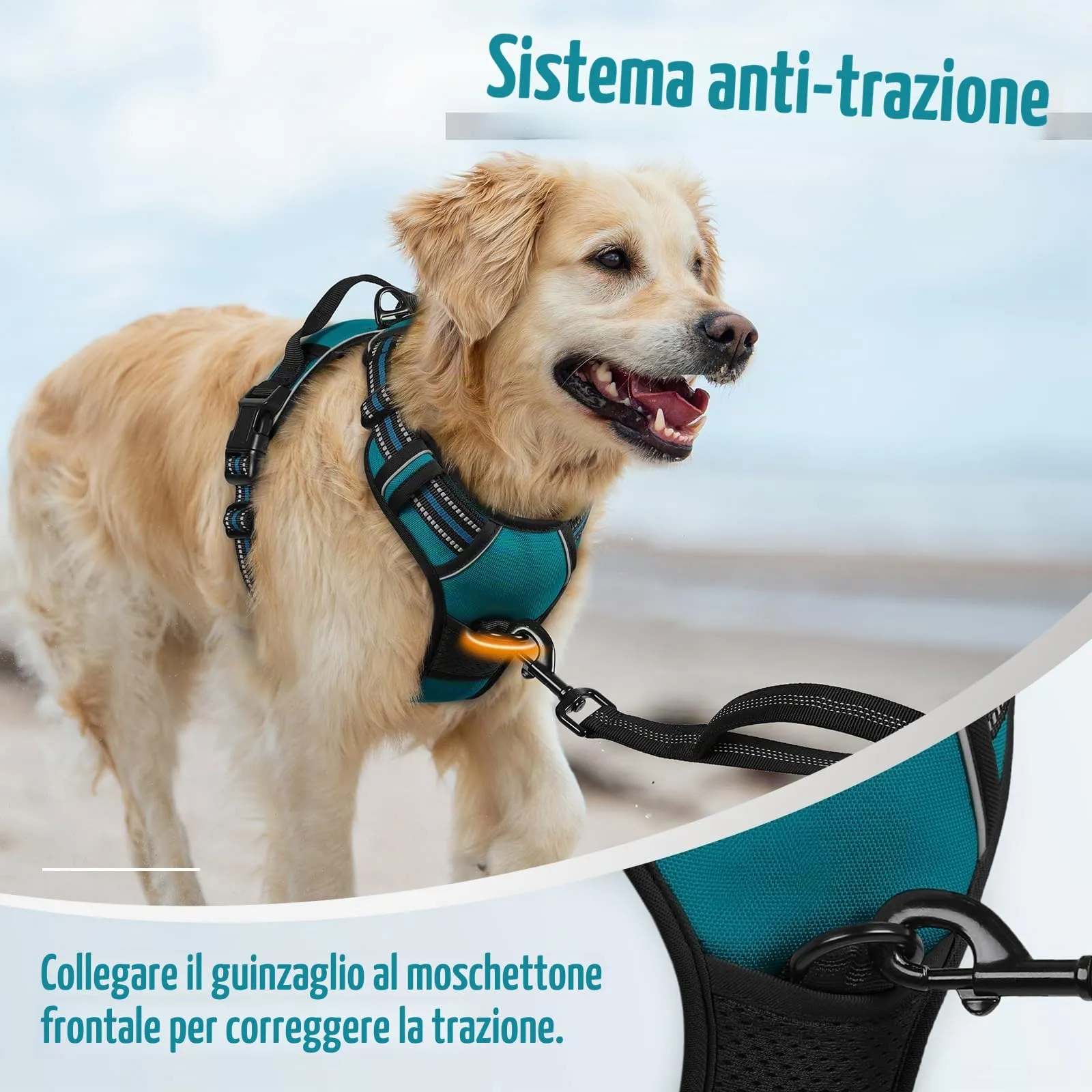 rabbitgoo Pettorina Cane ad H Regolabile Anti Tiro Riflettente, Verde Scuro, XL - immagine 6