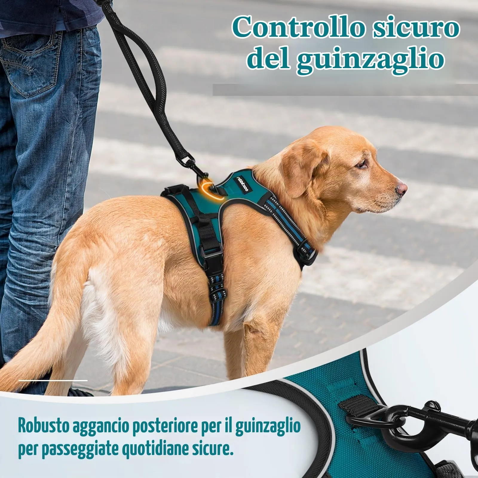 rabbitgoo Pettorina Cane ad H Regolabile Anti Tiro Riflettente, Verde Scuro, XL - immagine 7