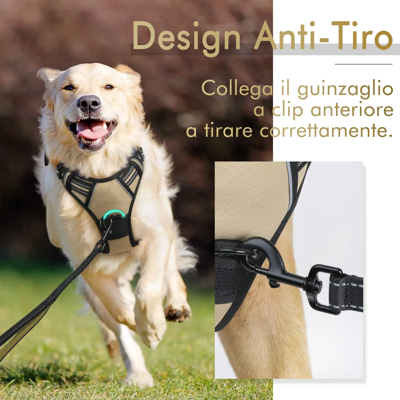 rabbitgoo Pettorina Cane ad H Regolabile Anti Tiro Riflettente, Cachi, L - immagine 3