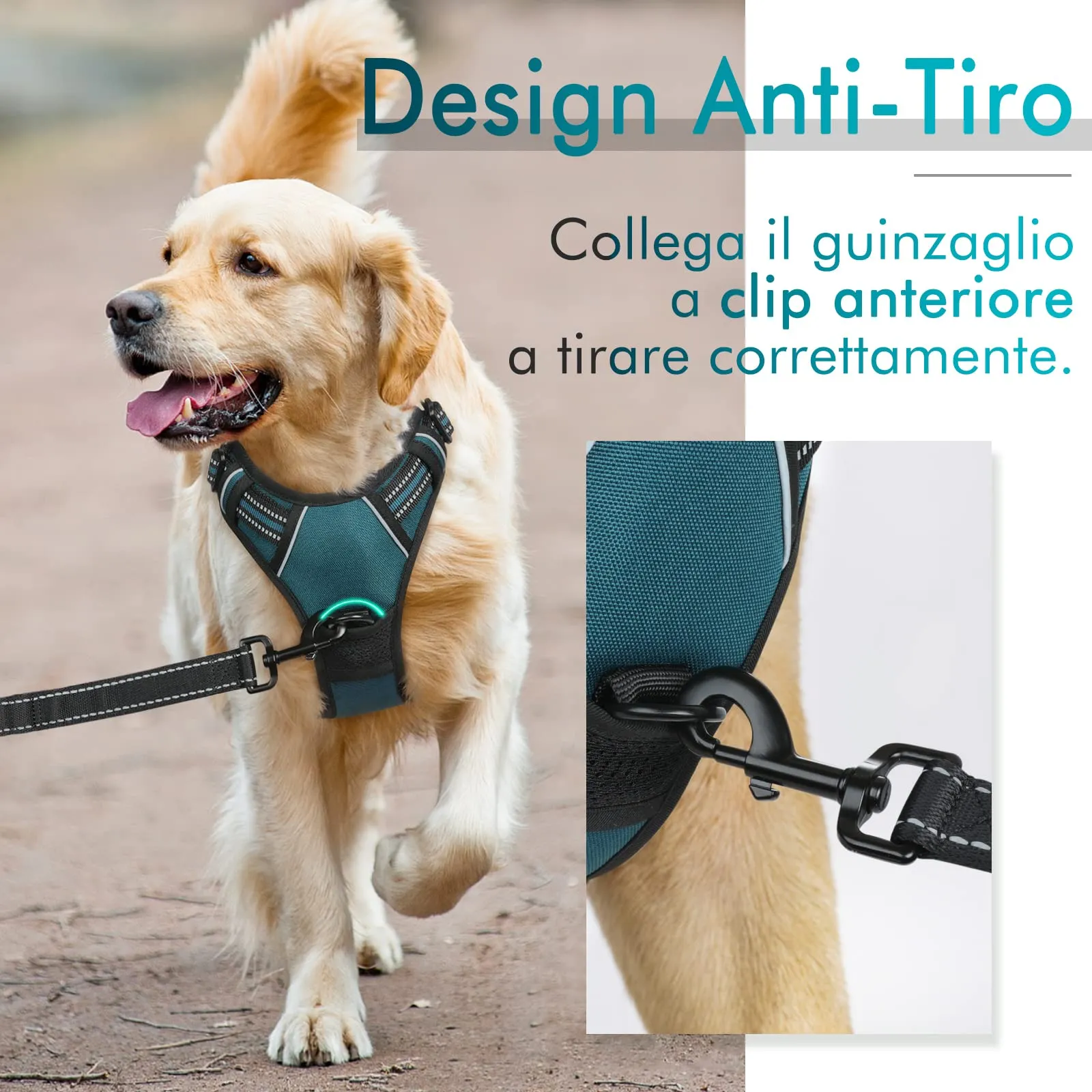 rabbitgoo Pettorina Cane ad h Regolabile Anti Tiro Riflettente, Verde Scuro, M - immagine 3