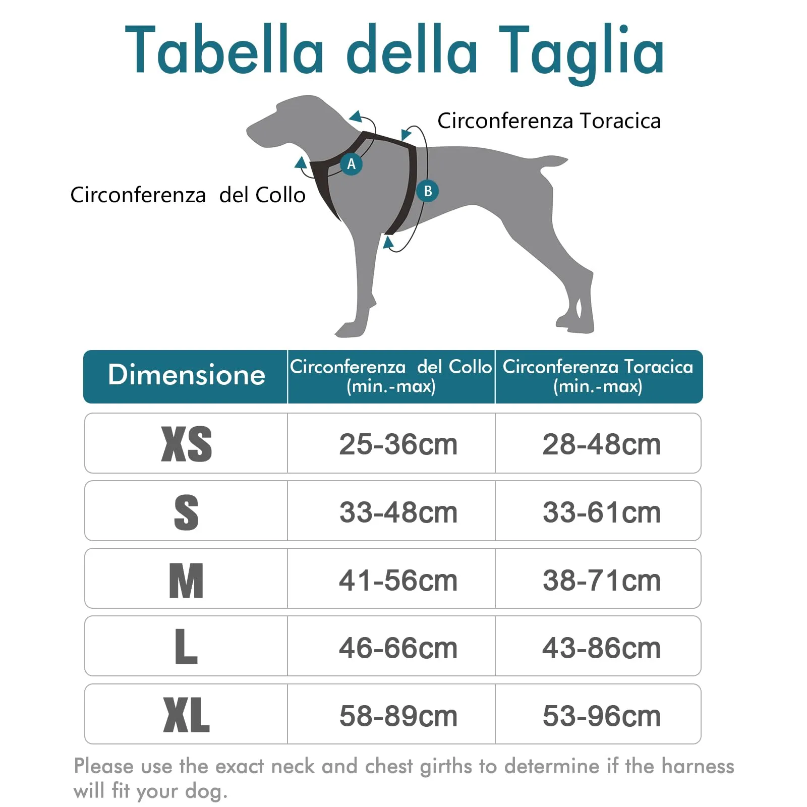 rabbitgoo Pettorina Cane ad H Regolabile, Anti Tiro e Riflettente, Verde Scuro, S - immagine 2
