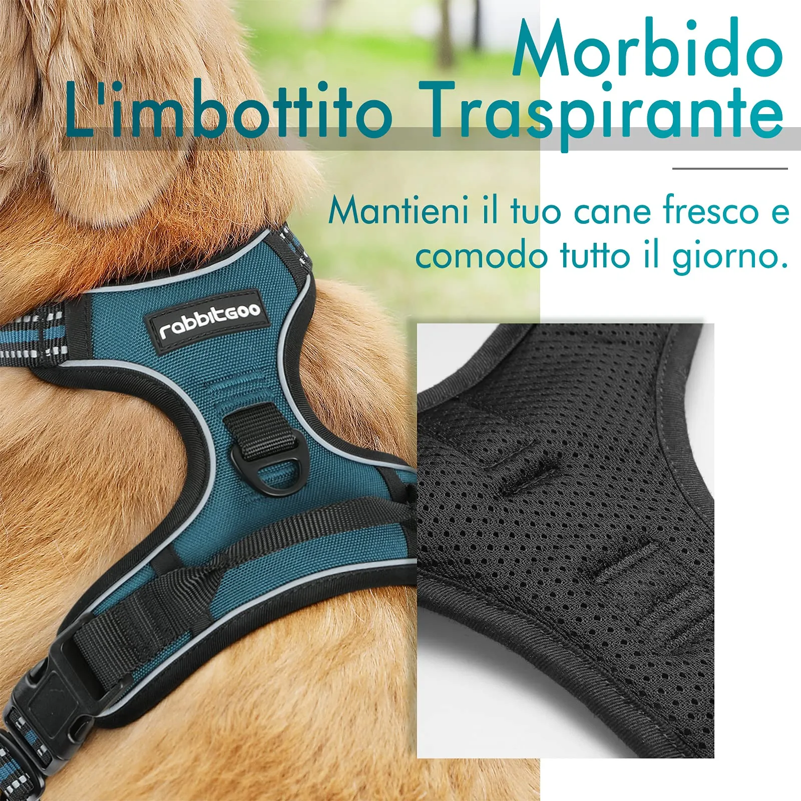 rabbitgoo Pettorina Cane ad H Regolabile, Anti Tiro e Riflettente, Verde Scuro, S - immagine 3