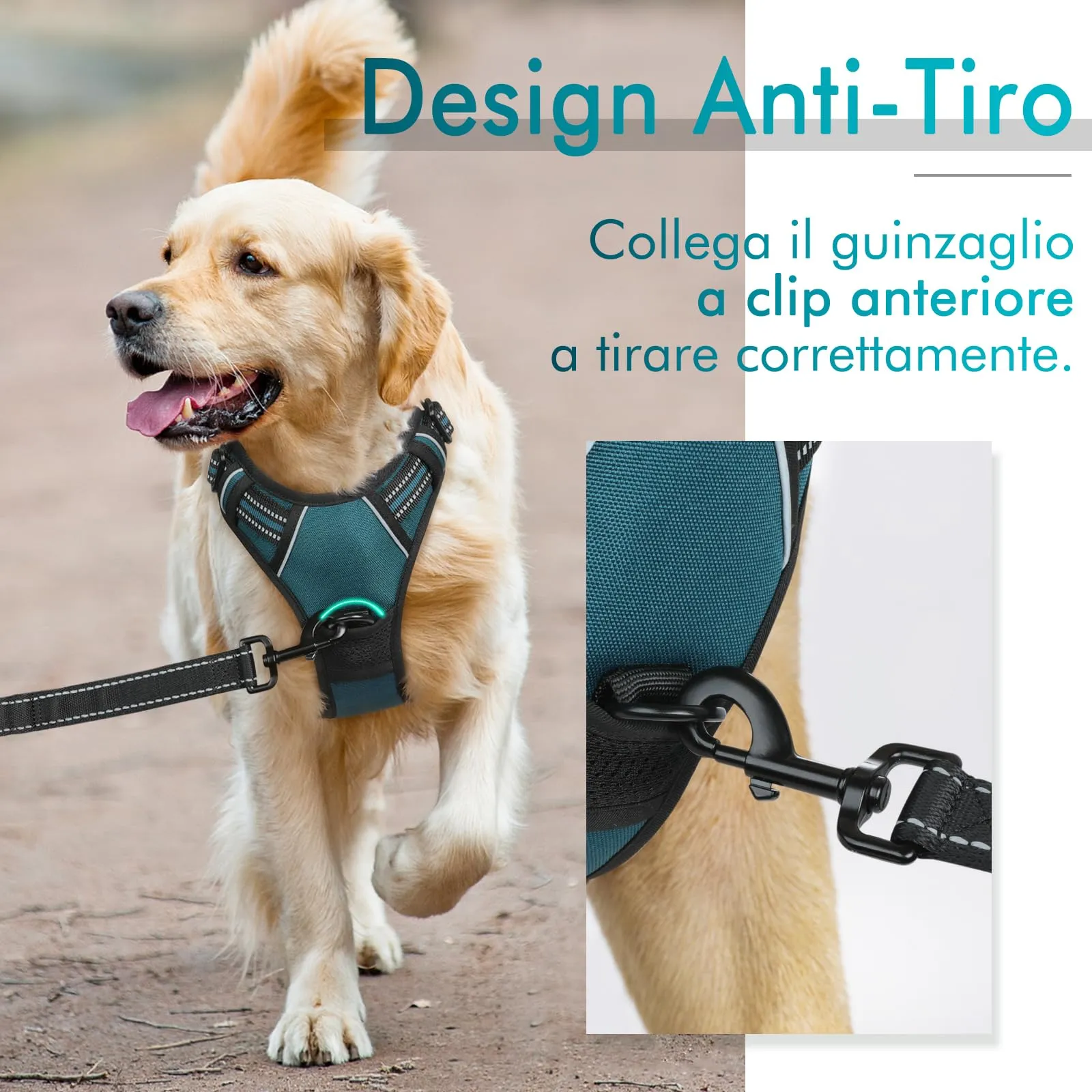 rabbitgoo Pettorina Cane ad H Regolabile, Anti Tiro e Riflettente, Verde Scuro, S - immagine 5