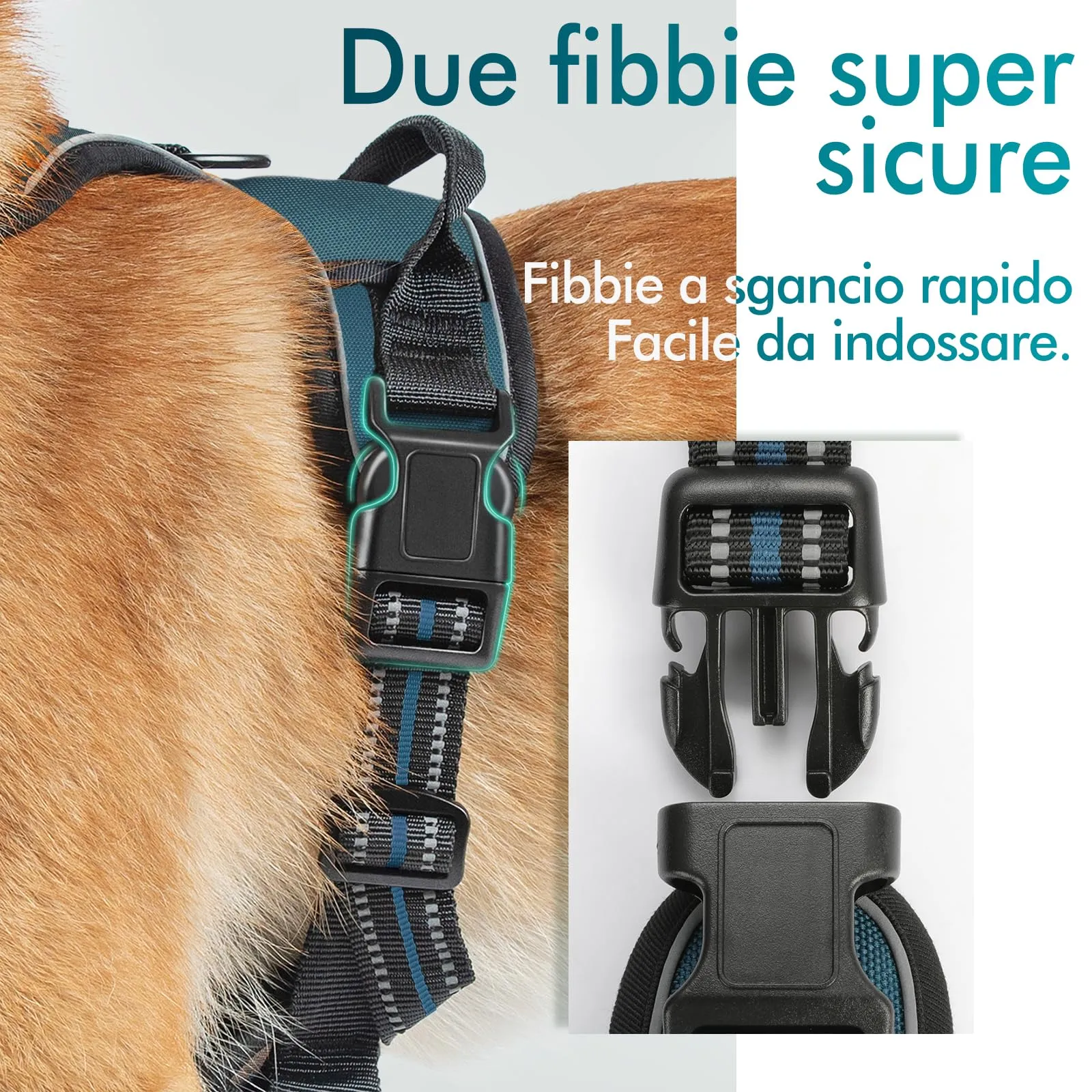 rabbitgoo Pettorina Cane ad H Regolabile, Anti Tiro e Riflettente, Verde Scuro, S - immagine 7