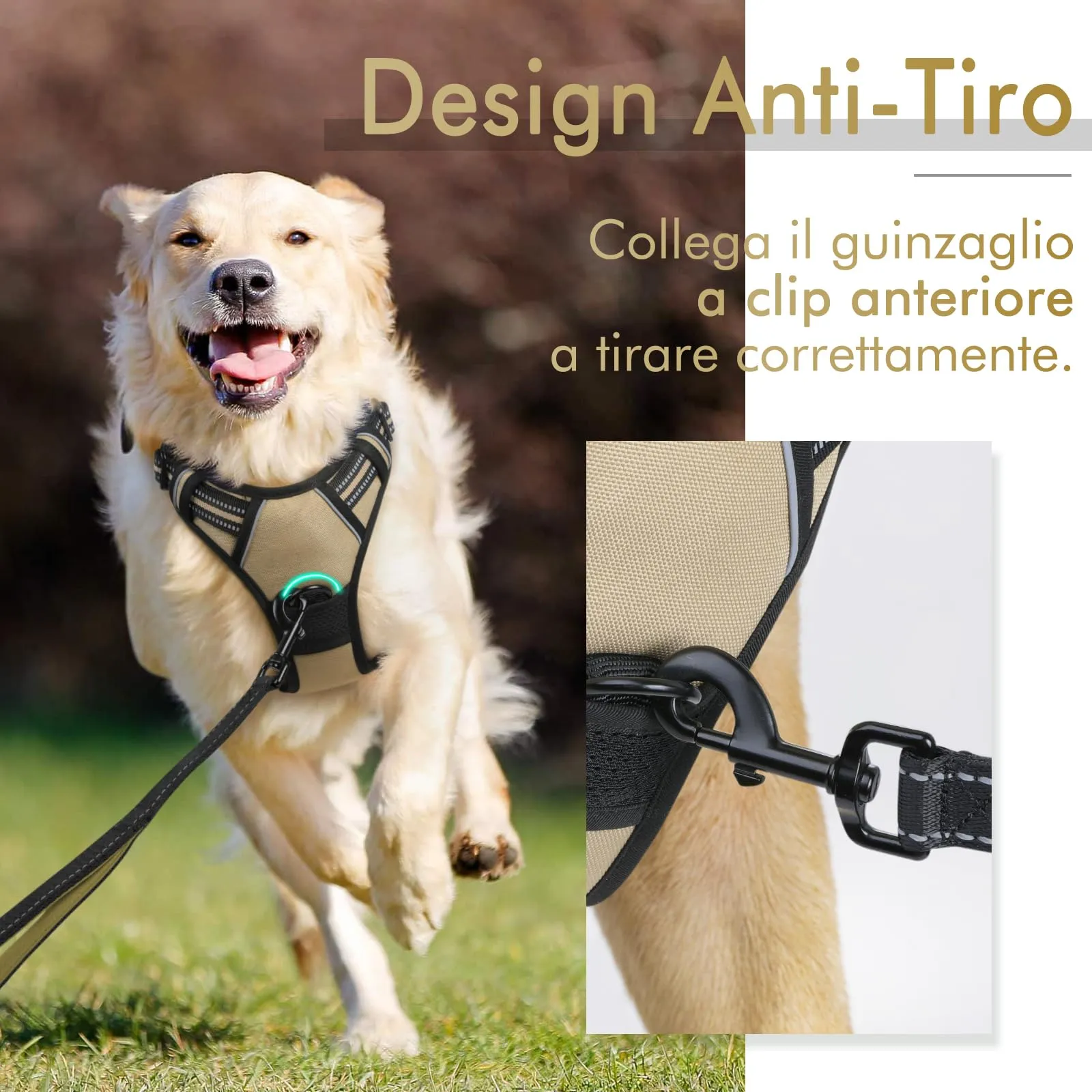 rabbitgoo Pettorina Cane ad H Regolabile Anti Tiro Riflettente, Cachi, S - immagine 5