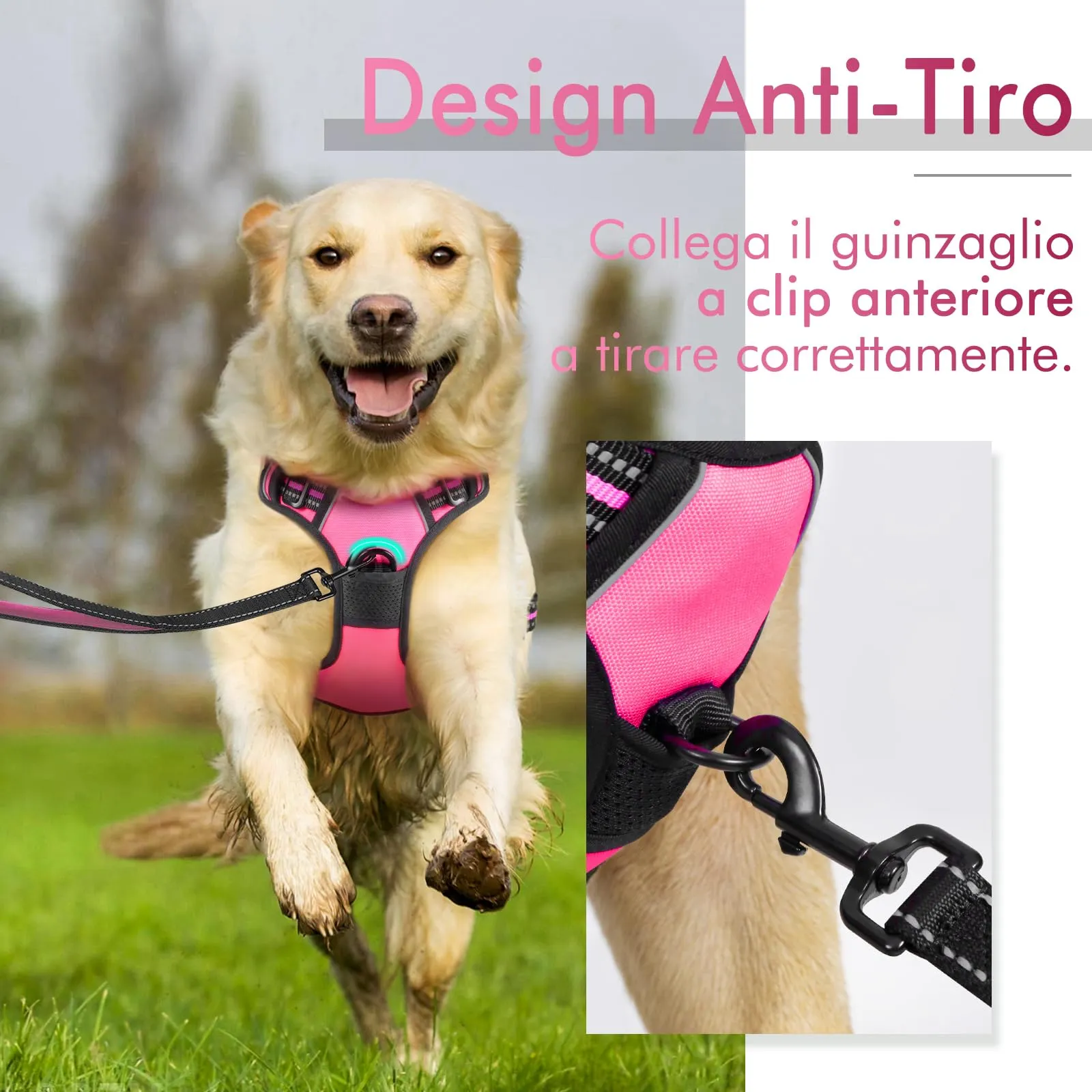 rabbitgoo Pettorina Cane ad H Regolabile, Anti Tiro Riflettente e Traspirante, Rosa Rosso, S - immagine 5