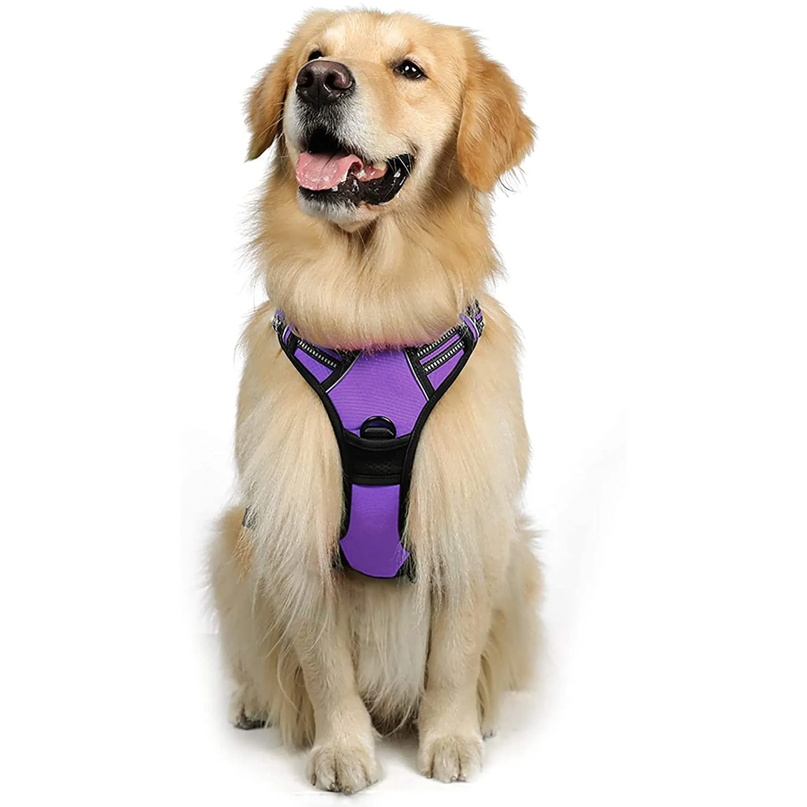 rabbitgoo Pettorina Cane ad h Regolabile Anti Tiro Riflettente, Viola, L - immagine 1