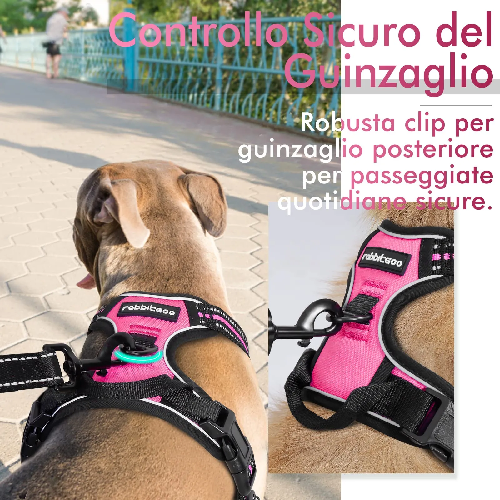 rabbitgoo Pettorina Cane ad H Regolabile, Anti Tiro Riflettente e Traspirante, Rosa Rosso, L - immagine 6
