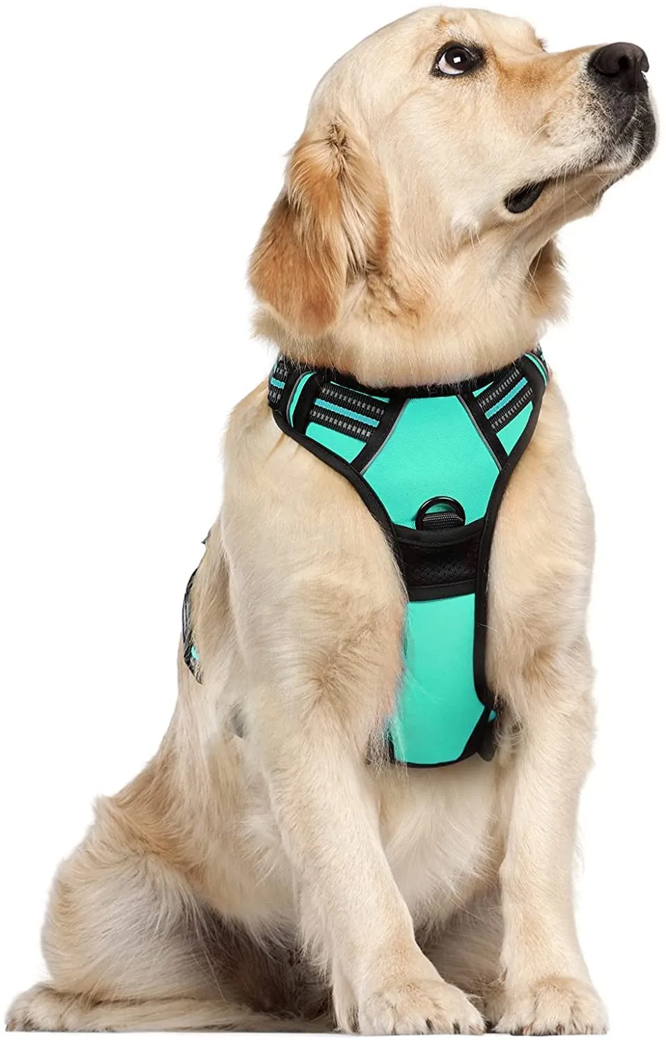 rabbitgoo Pettorina Cane ad h Regolabile Anti Tiro Riflettente, Menta Verde, L - immagine 1