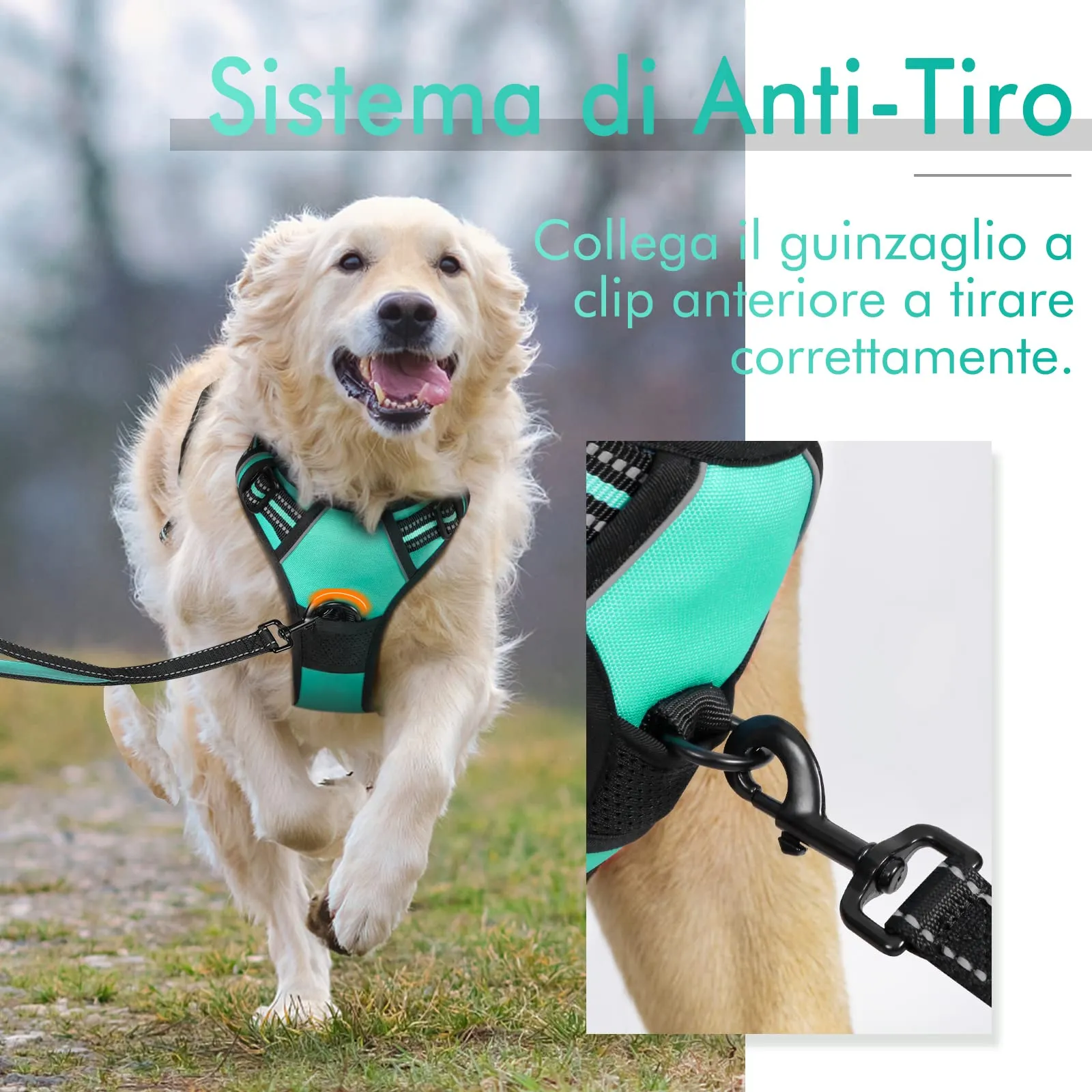 rabbitgoo Pettorina Cane ad h Regolabile Anti Tiro Riflettente, Menta Verde, L - immagine 3