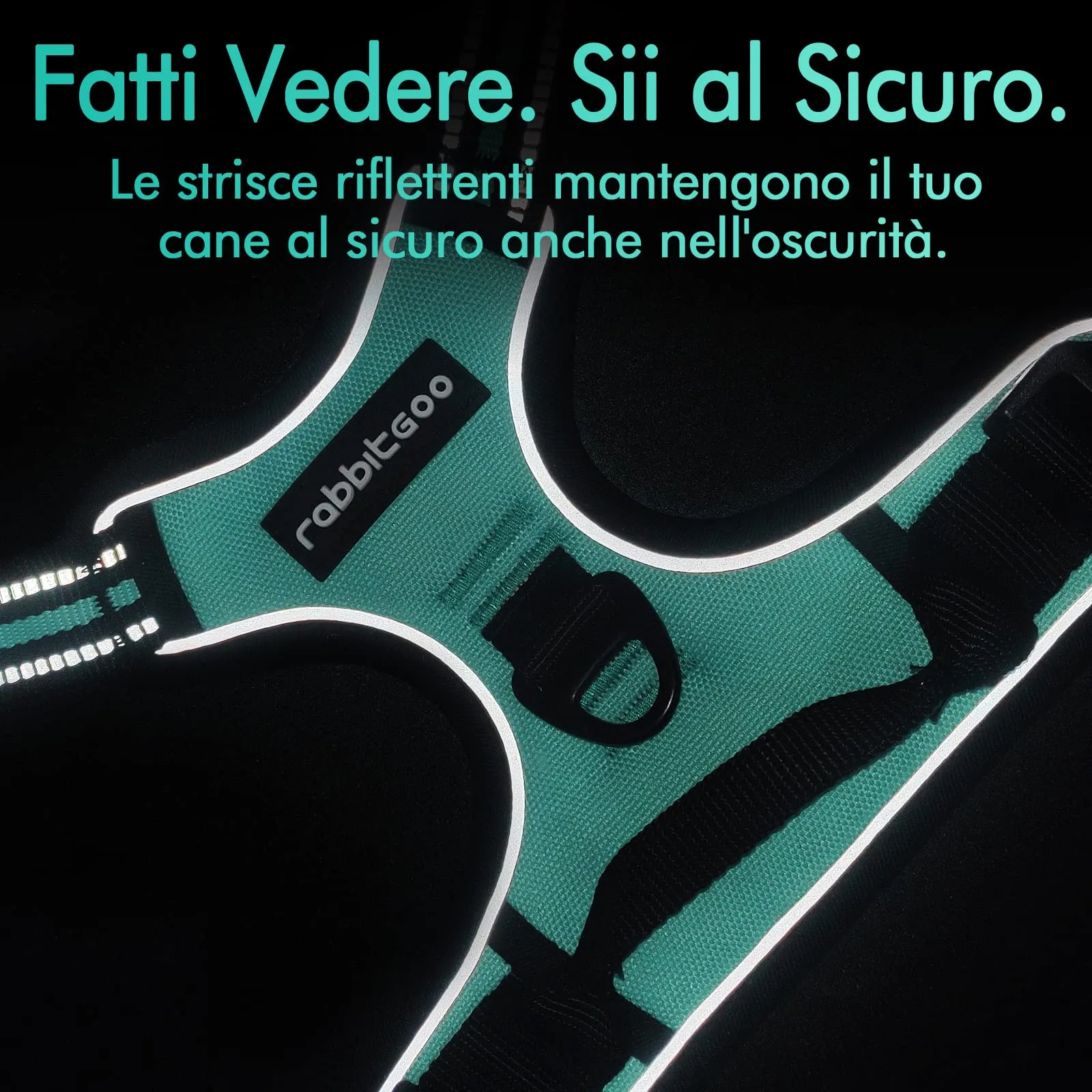 rabbitgoo Pettorina Cane ad h Regolabile Anti Tiro Riflettente, Menta Verde, L - immagine 7