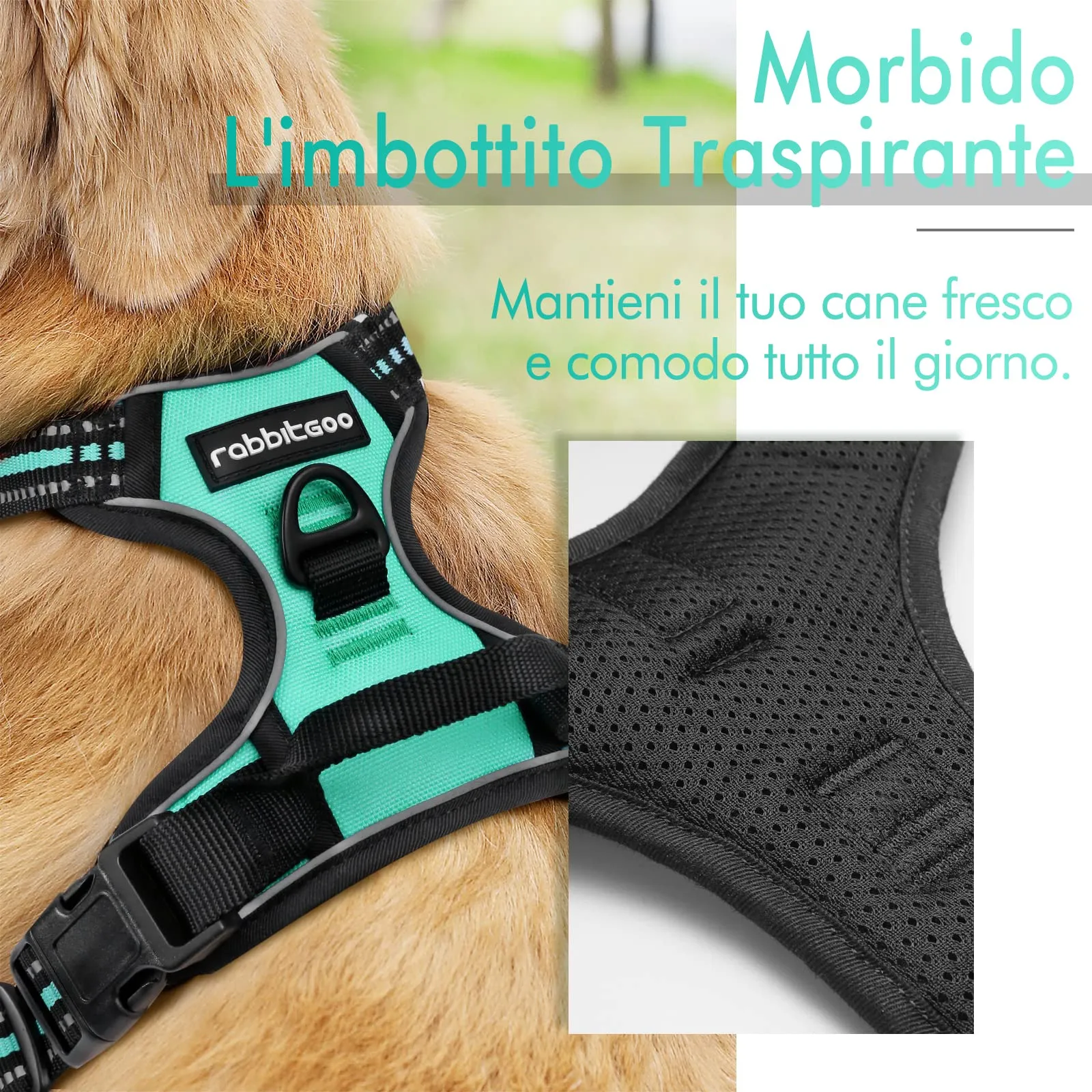 rabbitgoo Pettorina Cane ad H Regolabile, Anti Tiro Riflettente e Traspirante, Menta Verde, M - immagine 2