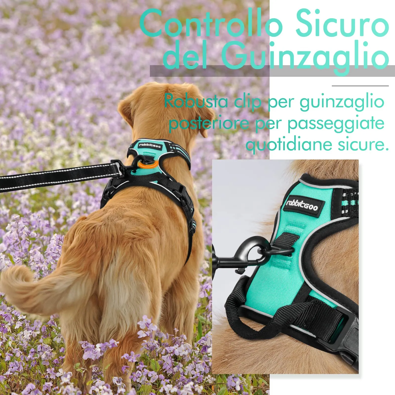 rabbitgoo Pettorina Cane ad H Regolabile, Anti Tiro Riflettente e Traspirante, Menta Verde, M - immagine 4