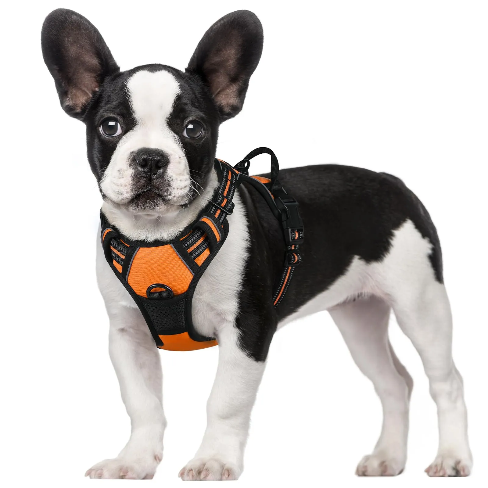 rabbitgoo Pettorina Cane ad H Regolabile Anti Tiro Riflettente, Arancio, S - immagine 1