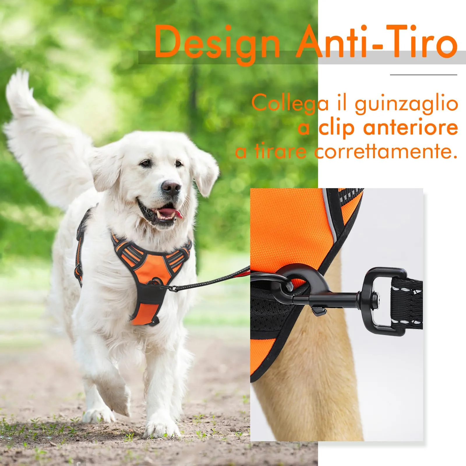 rabbitgoo Pettorina Cane ad H Regolabile Anti Tiro Riflettente, Arancio, S - immagine 5