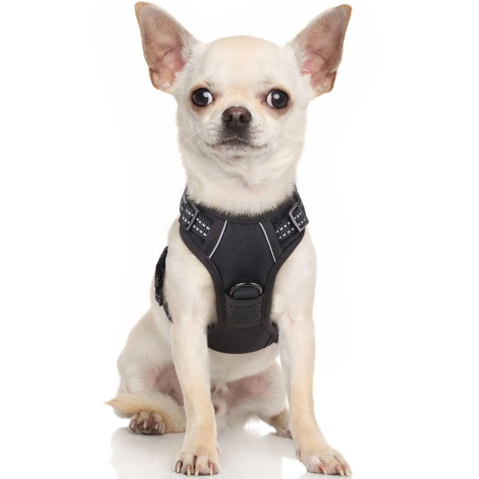 rabbitgoo Pettorina Cane ad H Regolabile Anti Tiro Riflettente, Nero, XS - immagine 1