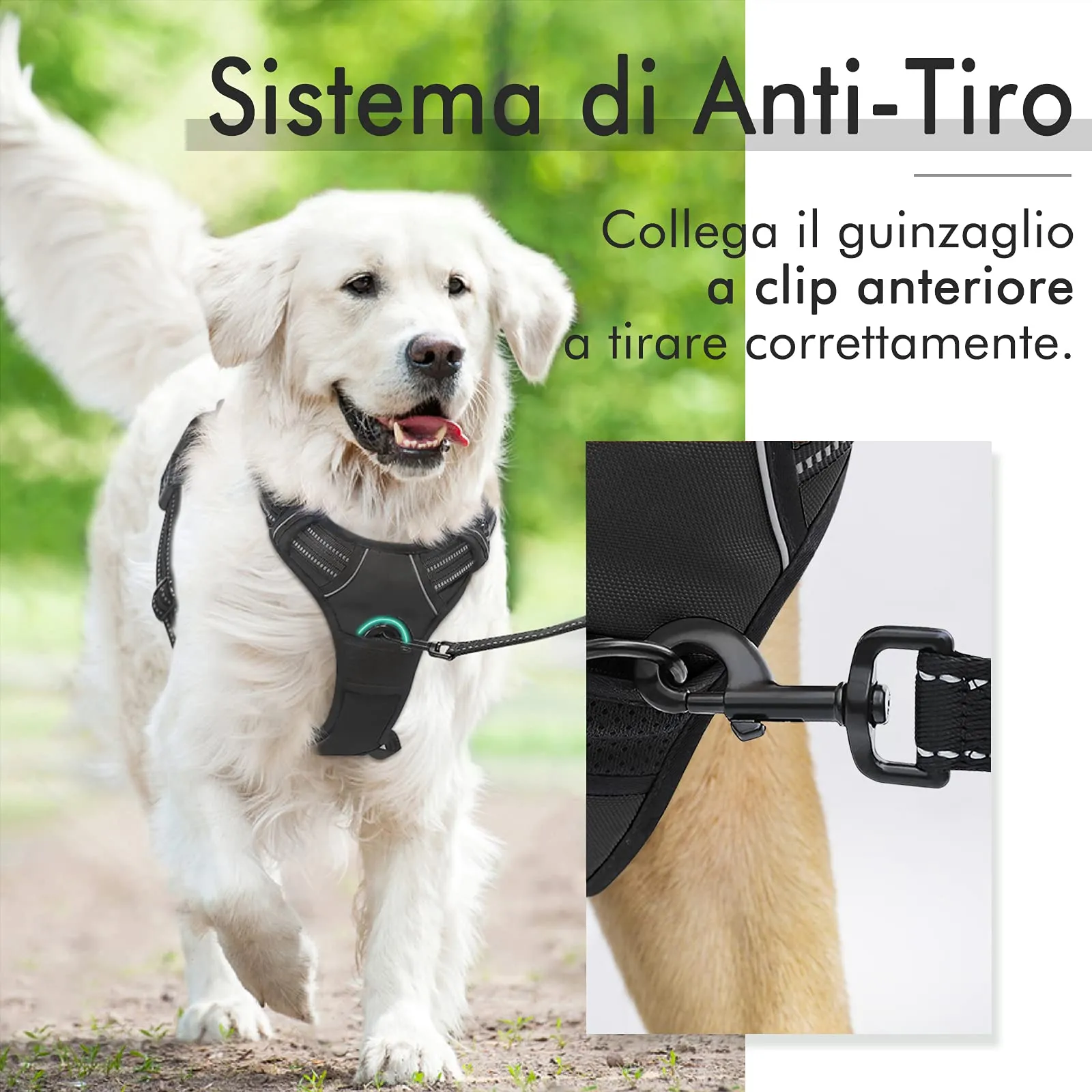 rabbitgoo Pettorina Cane ad H Regolabile Anti Tiro Riflettente, Nero, XS - immagine 5