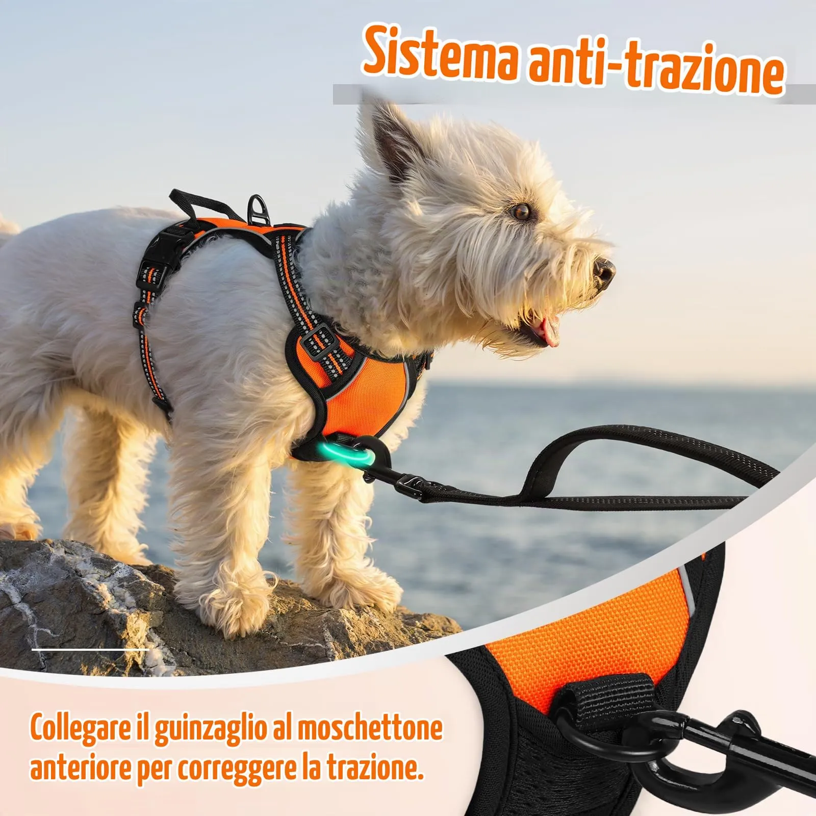 rabbitgoo Pettorina Cane ad h Regolabile, Imbracatura Anti Tiro Riflettente e Traspirante, Arancio, XS - immagine 6