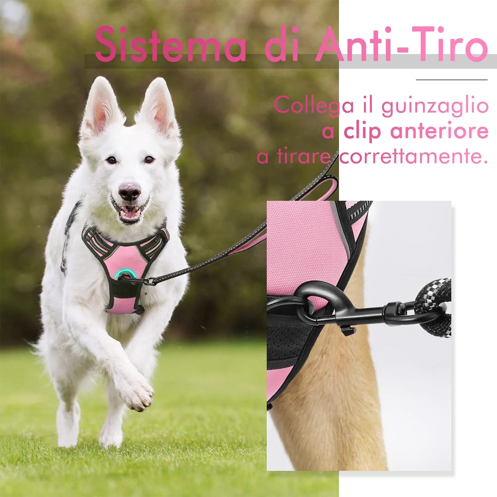 rabbitgoo Pettorina Cane ad H Regolabile Anti Tiro Riflettente, Rosa, XS - immagine 5