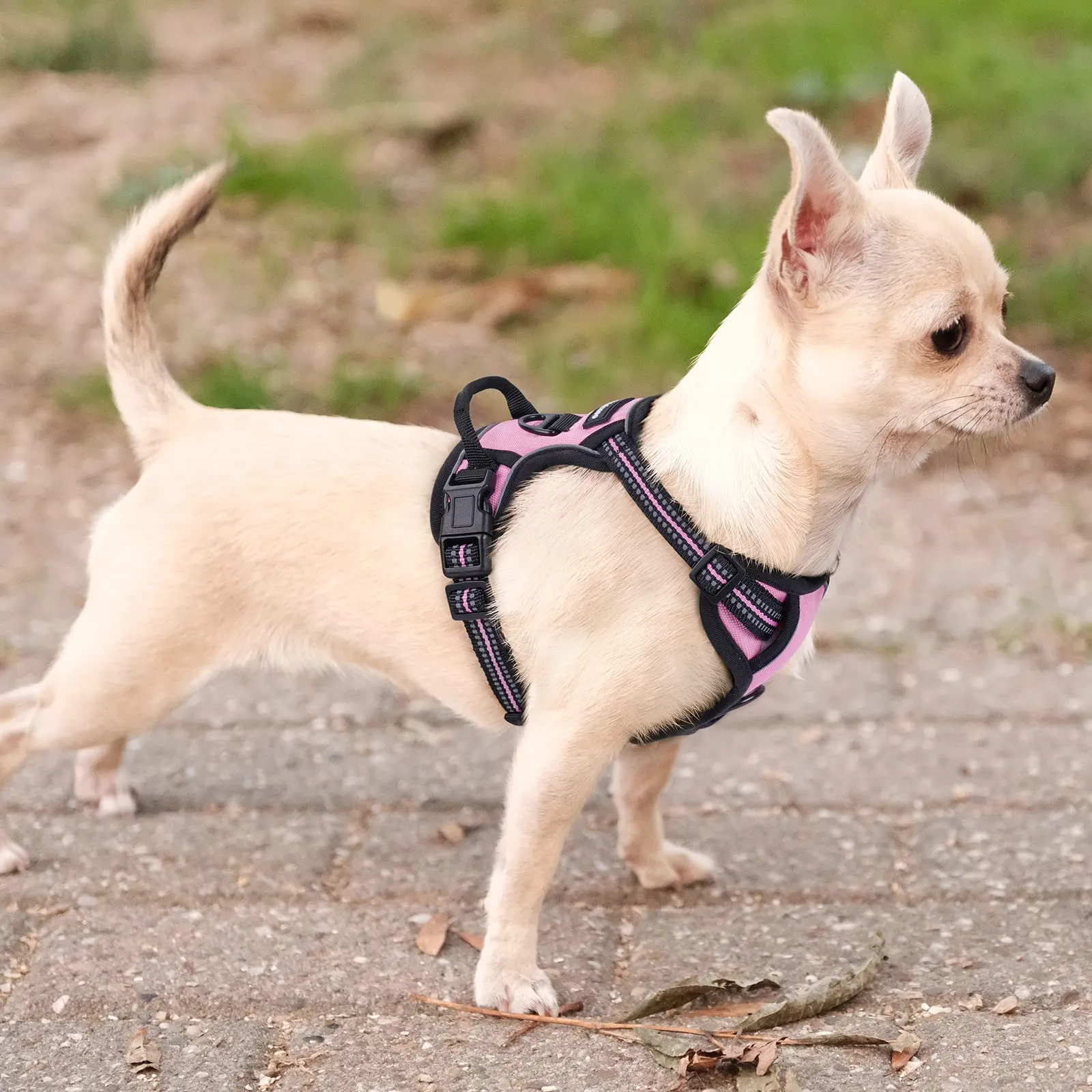 rabbitgoo Pettorina Cane ad H Regolabile Anti Tiro Riflettente, Rosa, XS - immagine 10