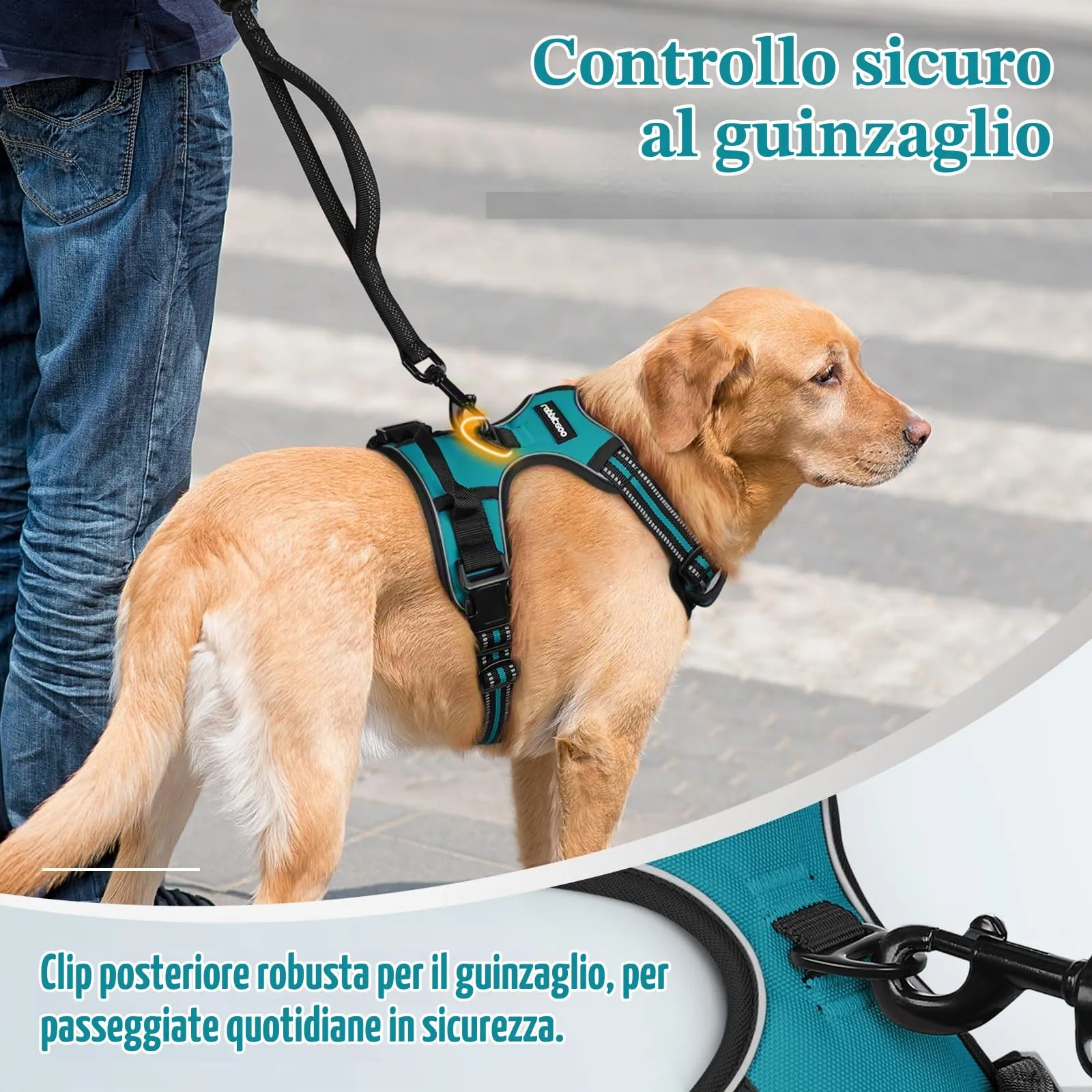 rabbitgoo Pettorina Cane ad H Regolabile Anti Tiro Riflettente, Blu Pavone, L - immagine 7