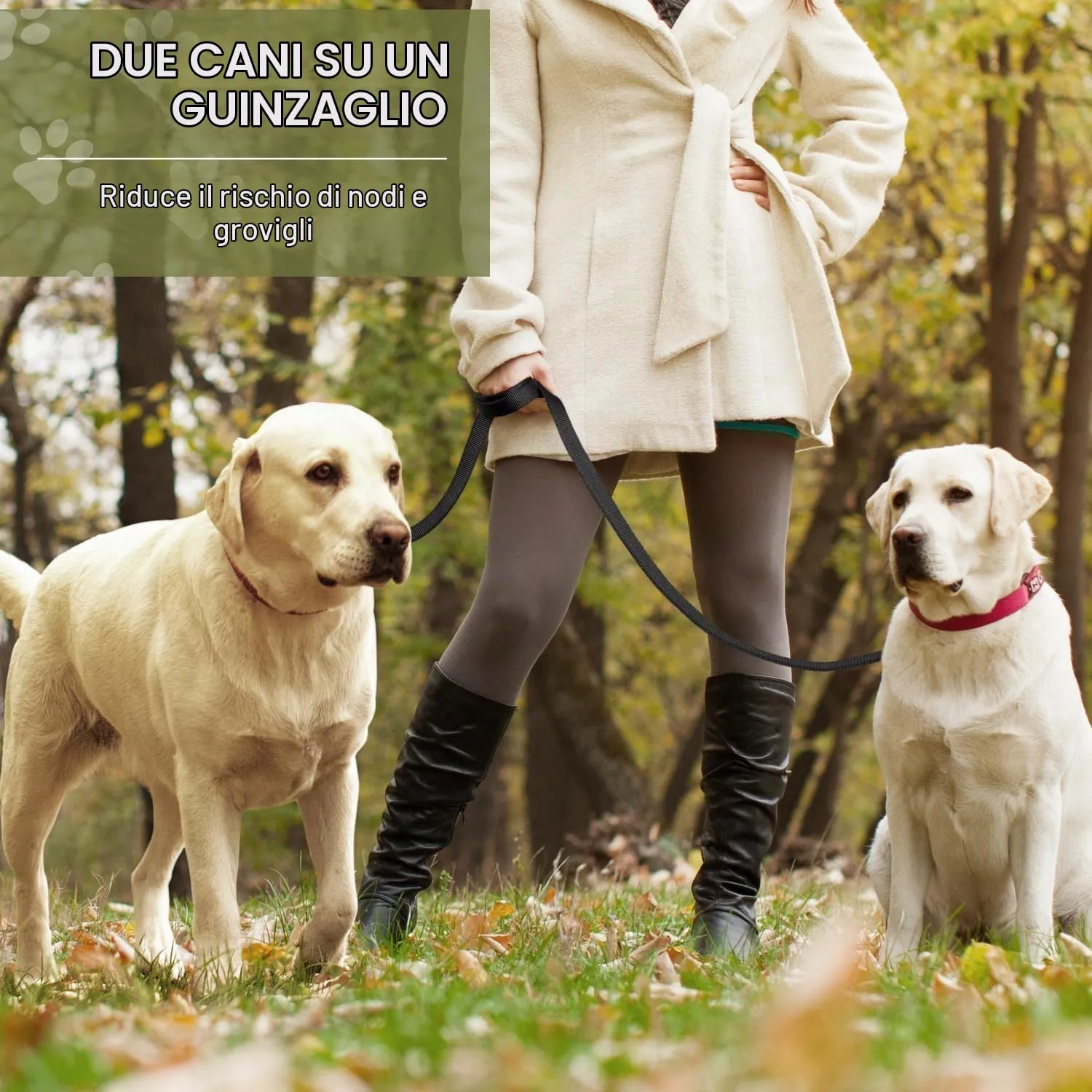 PETCOOZ Guinzaglio per Cani 3 Metri, Lunghina Regolabile Multifunzionale per Uno o Due Cani - immagine 3