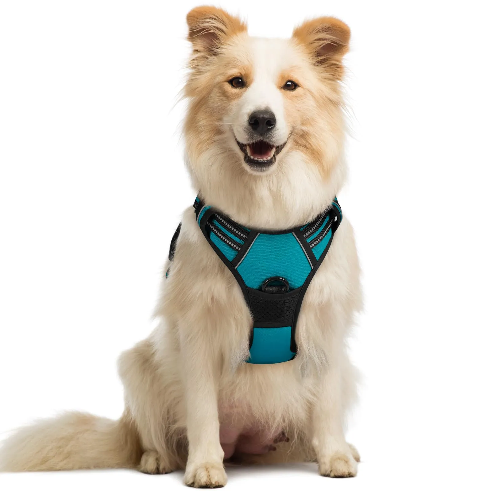 rabbitgoo Pettorina Cane ad H Regolabile, Anti Tiro e Riflettente, Blu Pavone, M - immagine 1
