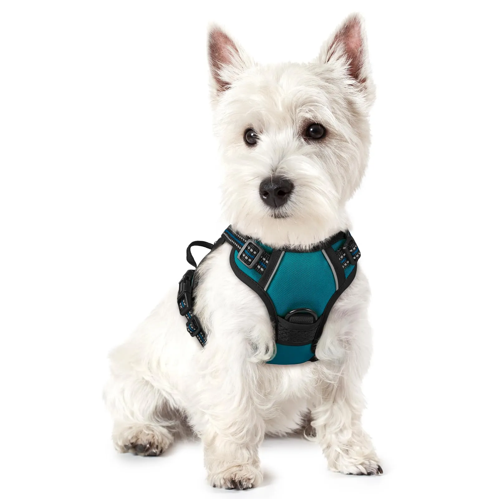 rabbitgoo Pettorina Cane ad h Regolabile Anti Tiro Riflettente, Verde Scuro, XS - immagine 1