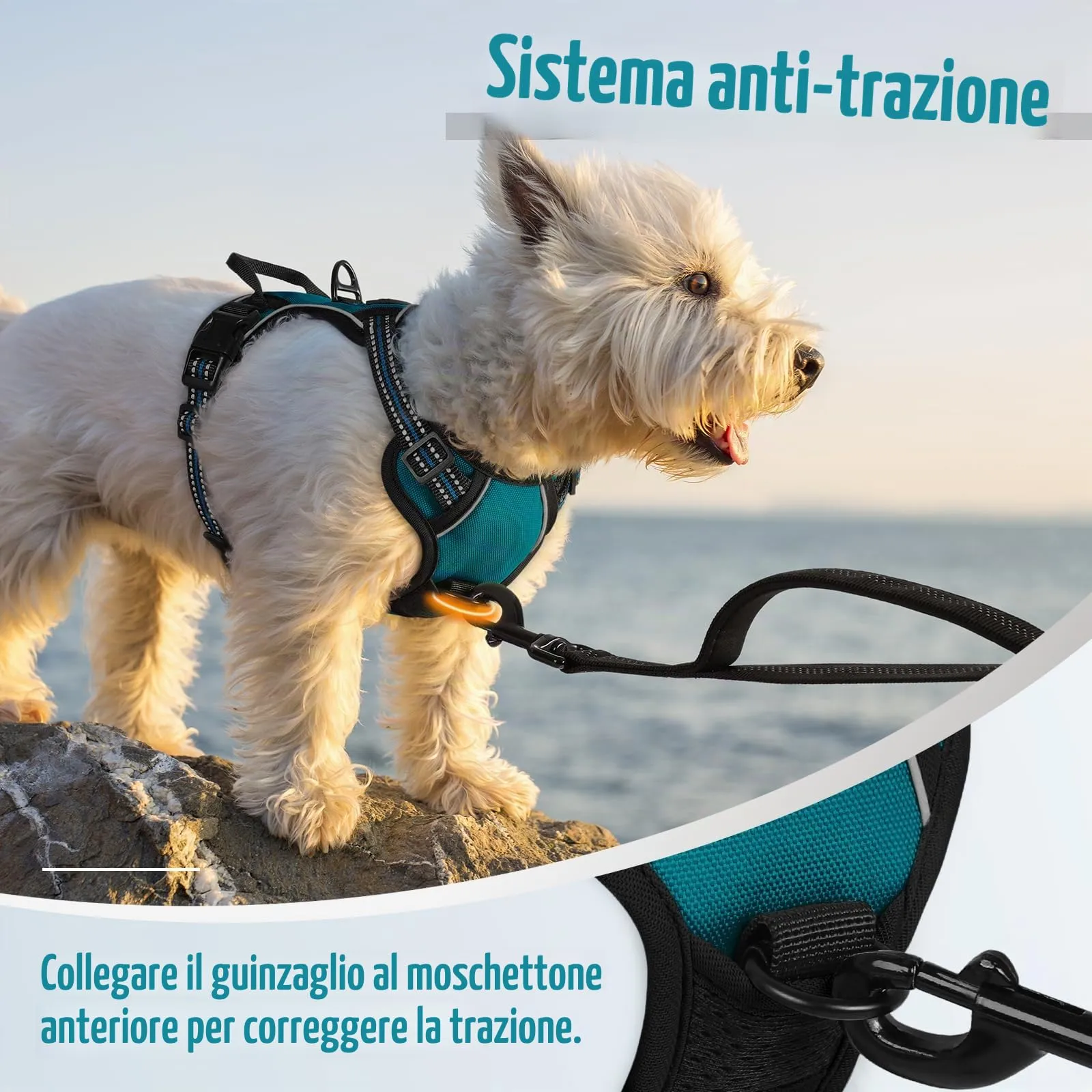 rabbitgoo Pettorina Cane ad h Regolabile Anti Tiro Riflettente, Verde Scuro, XS - immagine 6