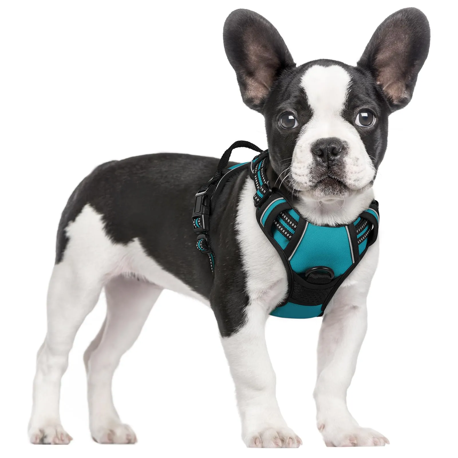 rabbitgoo Pettorina Cane ad h Regolabile Anti Tiro Riflettente, Blu Pavone, S - immagine 1