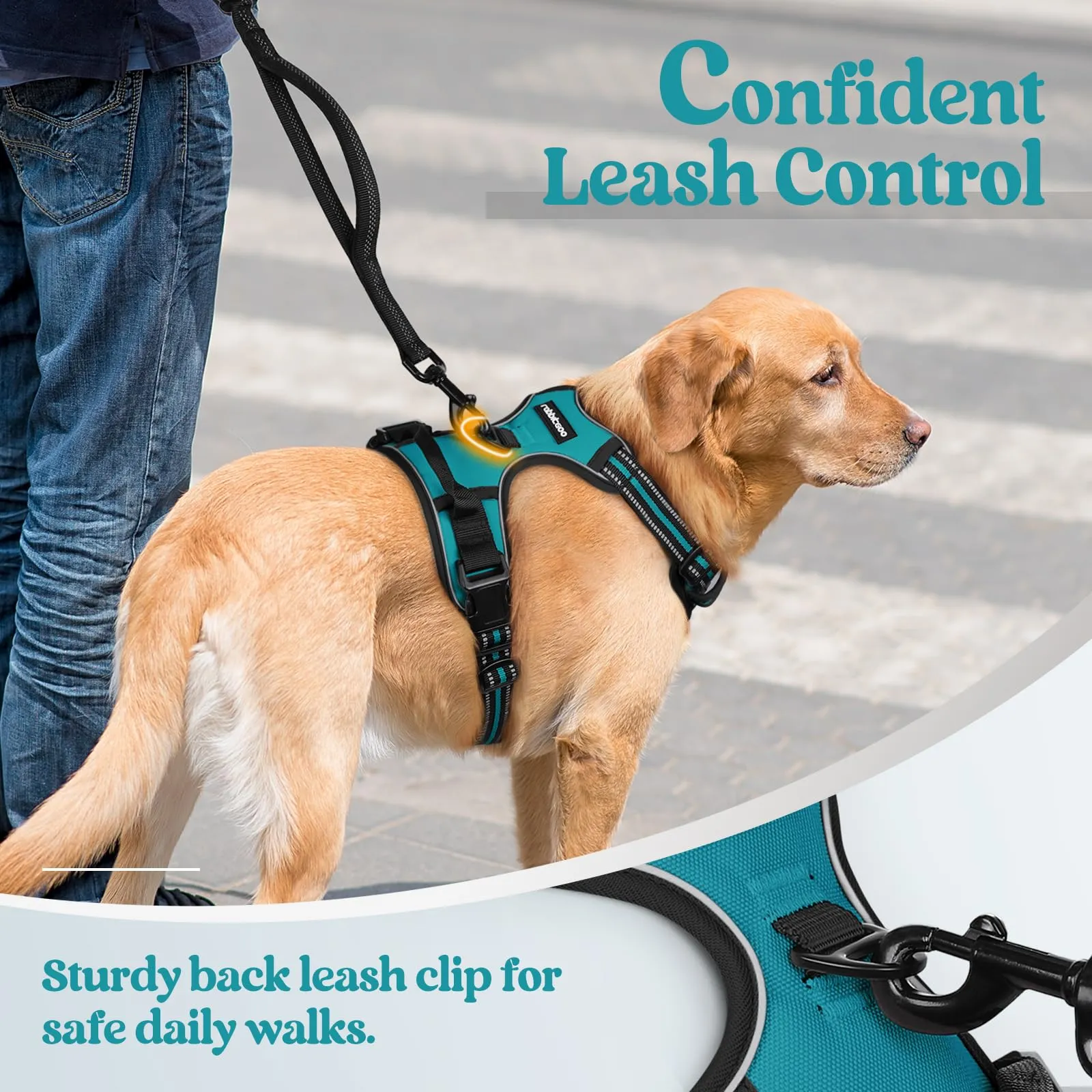 rabbitgoo Pettorina Cane ad h Regolabile Anti Tiro Riflettente, Blu Pavone, S - immagine 7