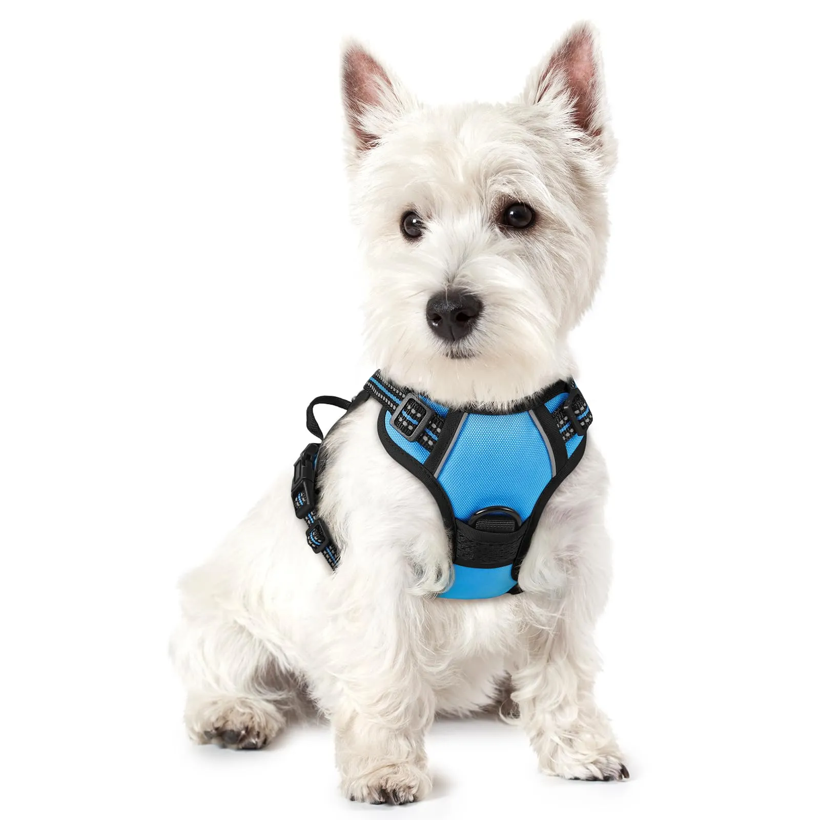 rabbitgoo Pettorina Cane ad h Regolabile, Anti Tiro Riflettente e Traspirante, Blu Chiaro, XS - immagine 1