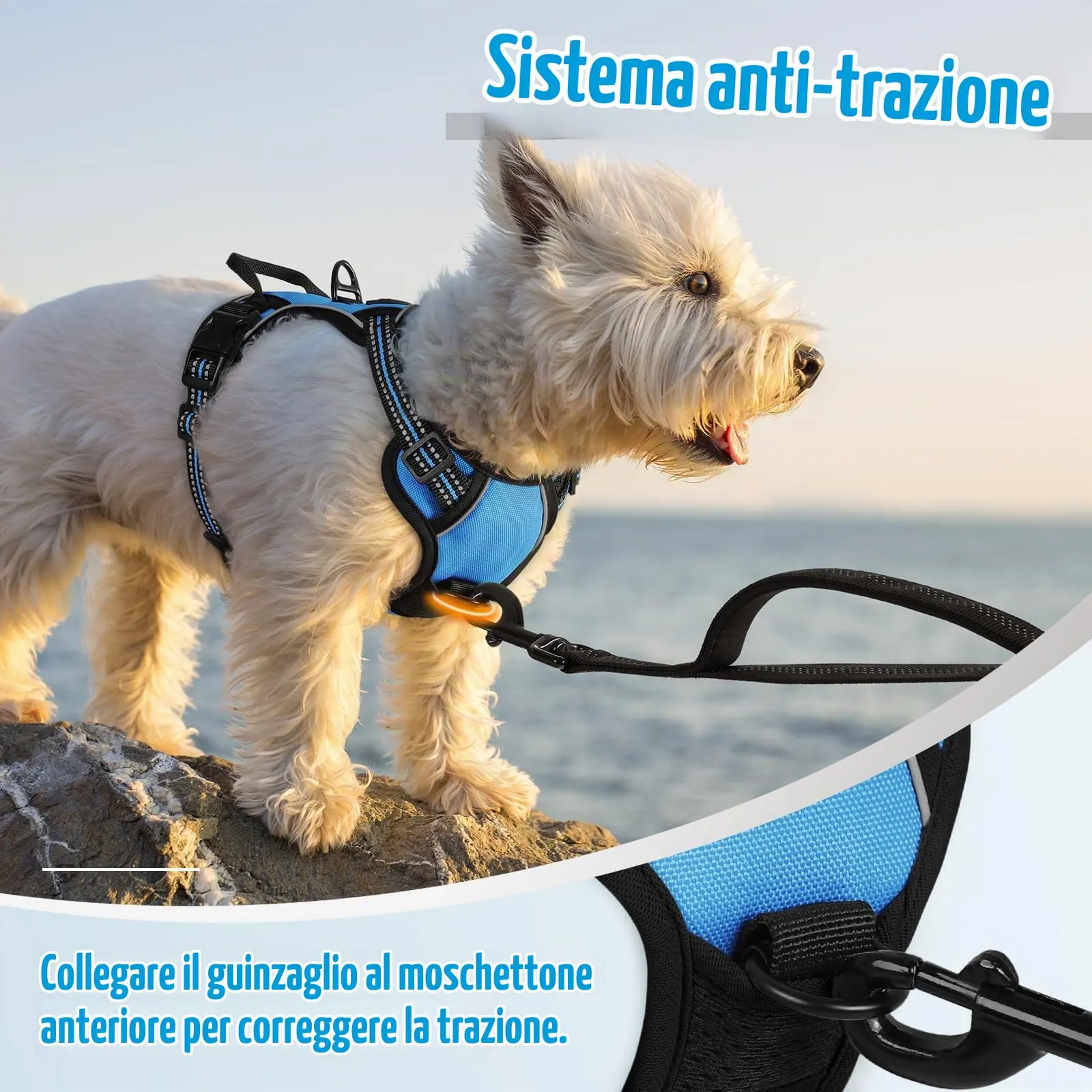 rabbitgoo Pettorina Cane ad h Regolabile, Anti Tiro Riflettente e Traspirante, Blu Chiaro, XS - immagine 6