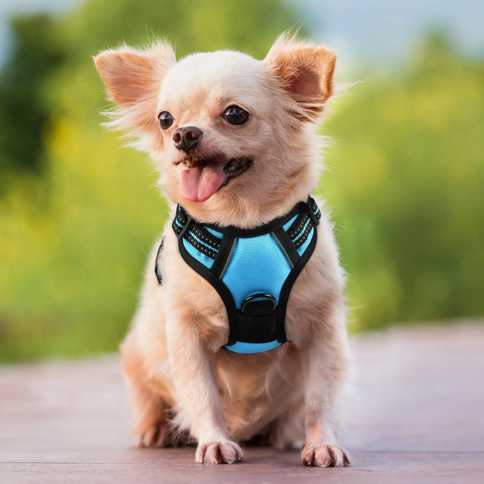 rabbitgoo Pettorina Cane ad h Regolabile, Anti Tiro Riflettente e Traspirante, Blu Chiaro, XS - immagine 9