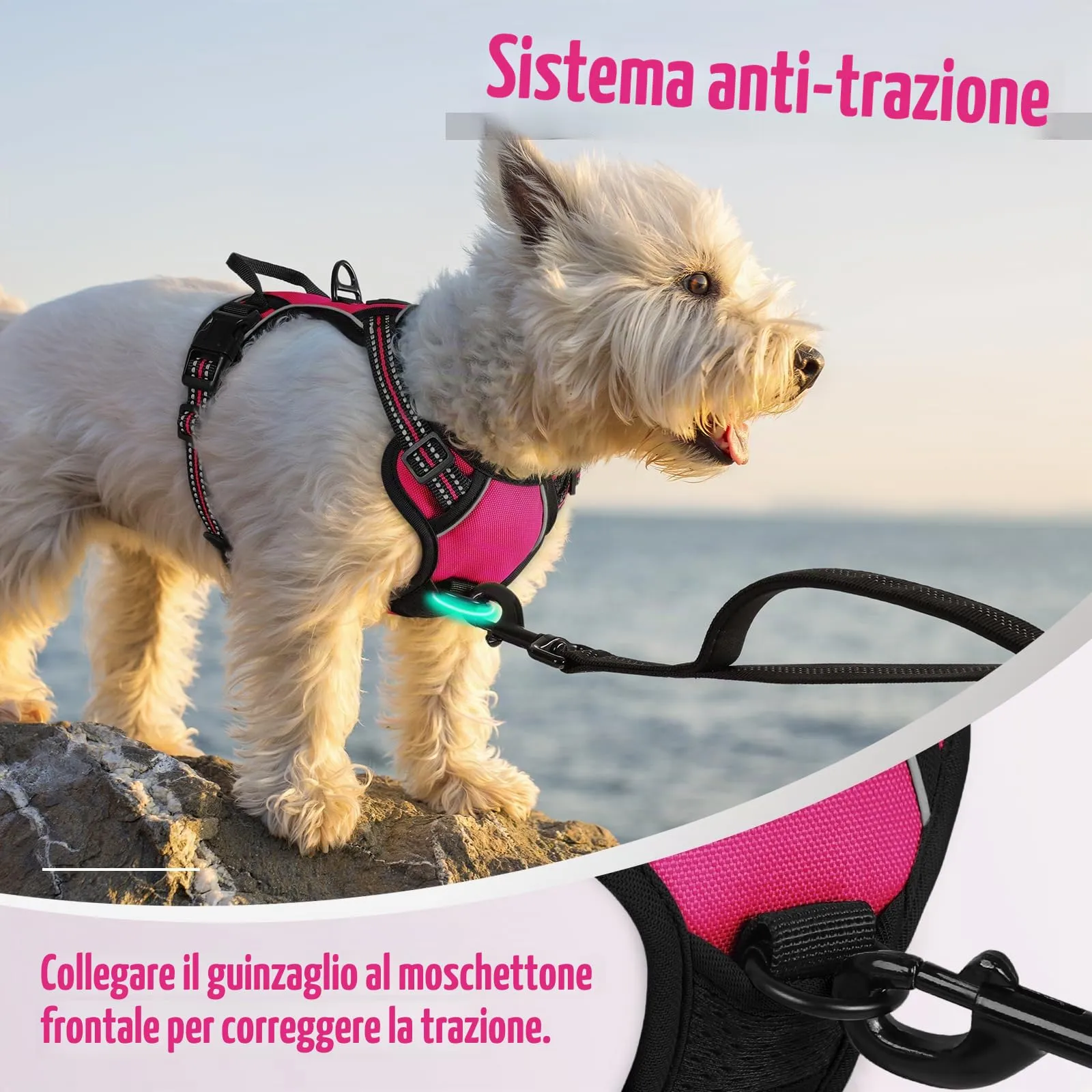 rabbitgoo Pettorina Cane ad H Regolabile Anti Tiro Riflettente, Rosa Rosso, XS - immagine 6
