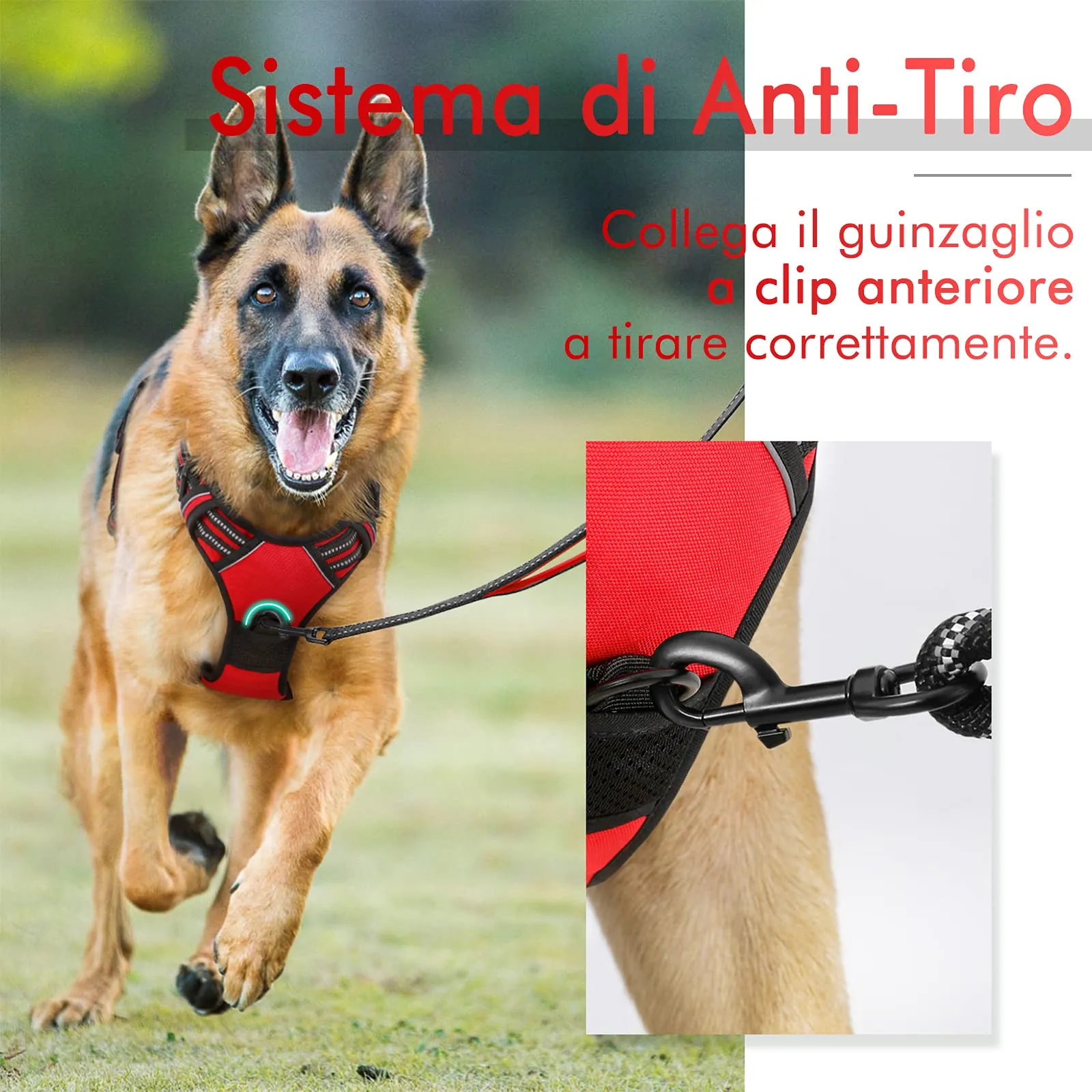 rabbitgoo Pettorina Cane ad H Regolabile Anti Tiro Riflettente e Traspirante, Rossa, XS - immagine 5