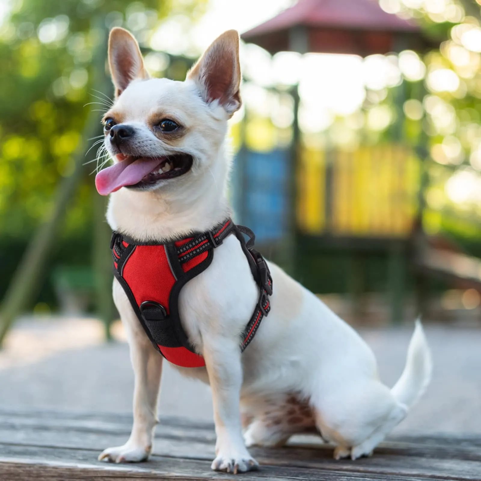 rabbitgoo Pettorina Cane ad H Regolabile Anti Tiro Riflettente e Traspirante, Rossa, XS - immagine 10