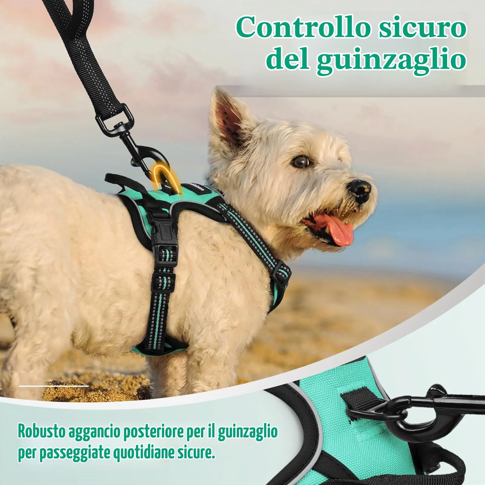 rabbitgoo Pettorina Cane ad H Regolabile, Anti Tiro Riflettente e Traspirante, Menta Verde, XS - immagine 7